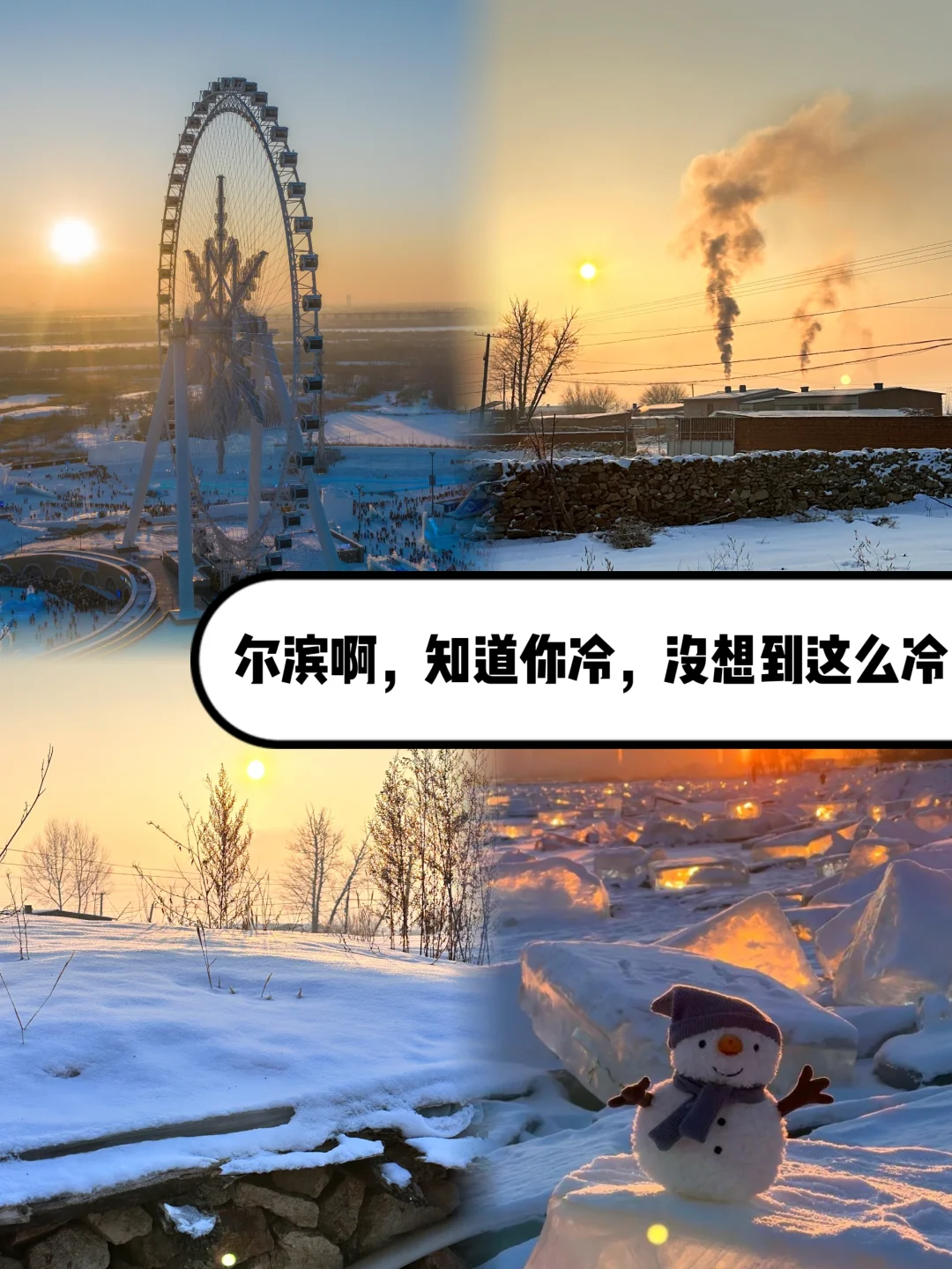 尔滨呀，知道你冷，没想到这么冷❄