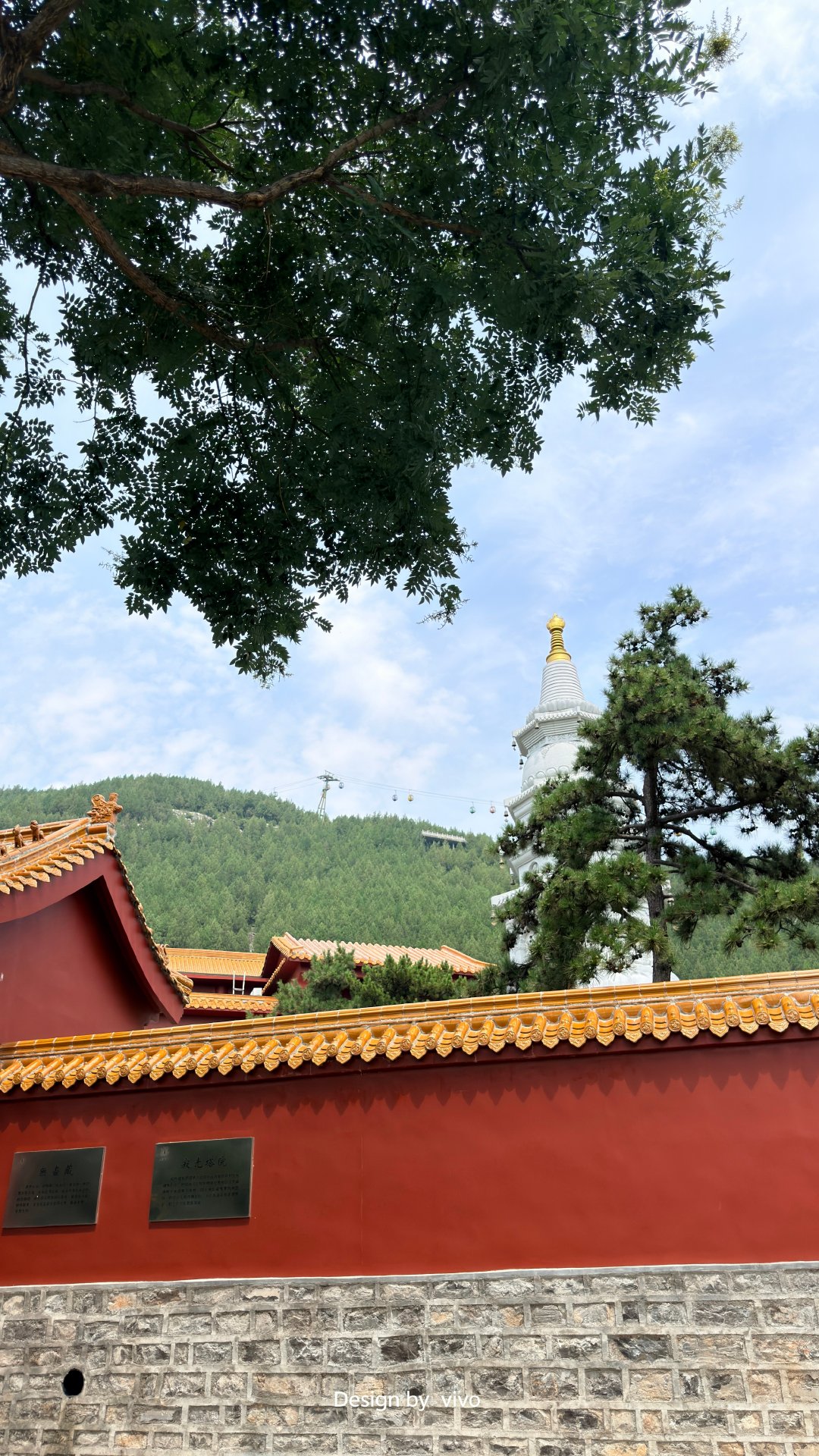 #vivo[超话]# 青州市龙兴寺和驼山这俩地儿肩并肩挨着，在寺里溜达一抬头就能瞅见山上的缆车线，可惜停运了。不然真想嗖地坐上去，晃晃悠悠把山景看个过瘾～  ​