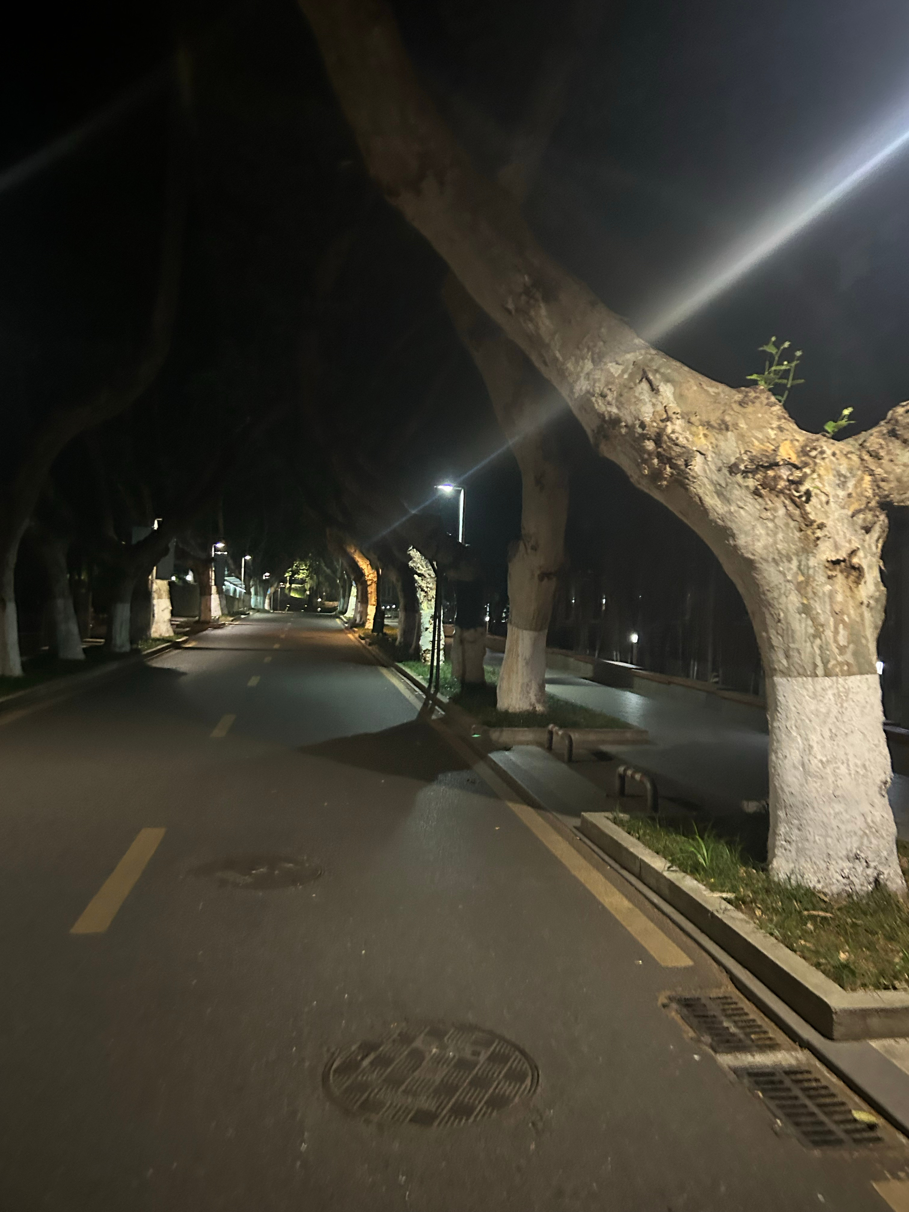 你们这些瞧不起我的我已经在南艺了  ​​​