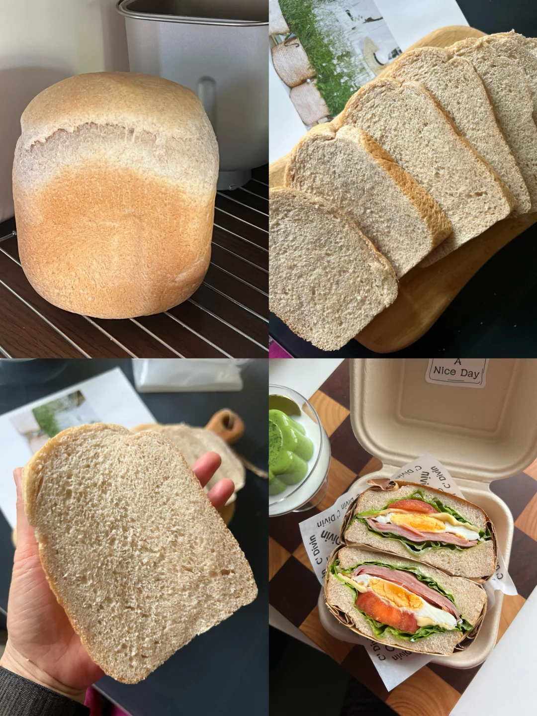 全麦面包真的太香了！🥄波兰中➕快速吐司模式