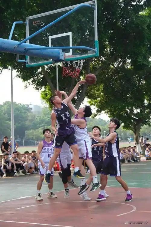 当“球场老司机”遇上“新手菜鸟”——体育赛事中的“笑料百出”瞬间大揭秘...