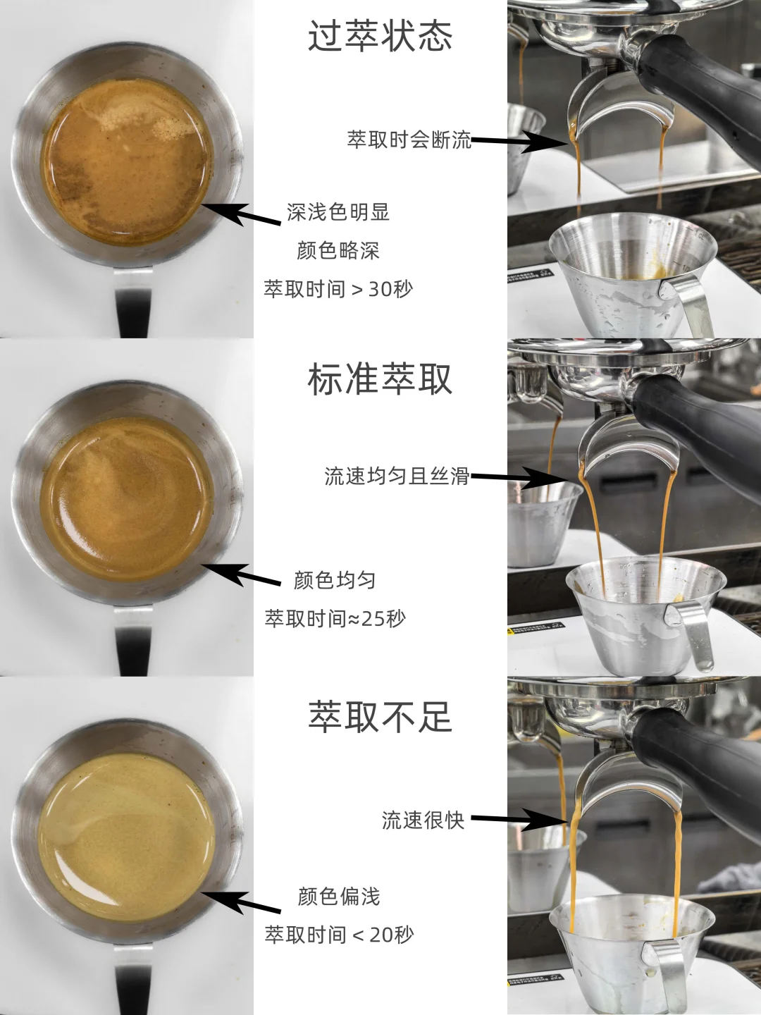 ☕如何分辨萃取效果❓咖啡小白必修课❗❗❗