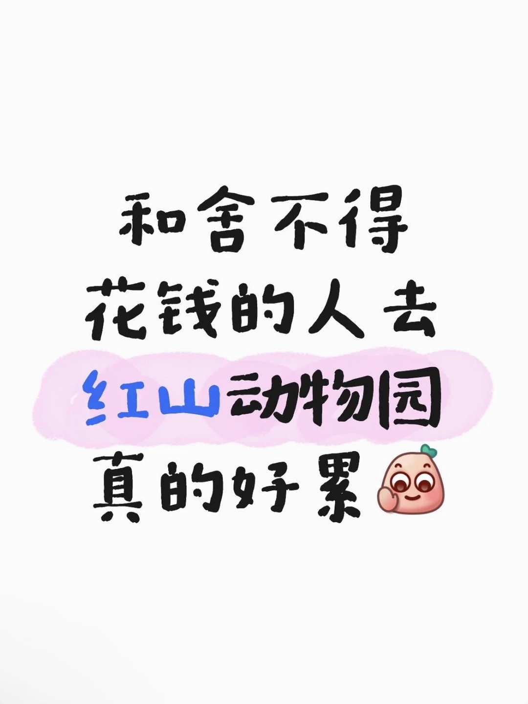 和不舍得花钱的人去红山动物园真的很累😭