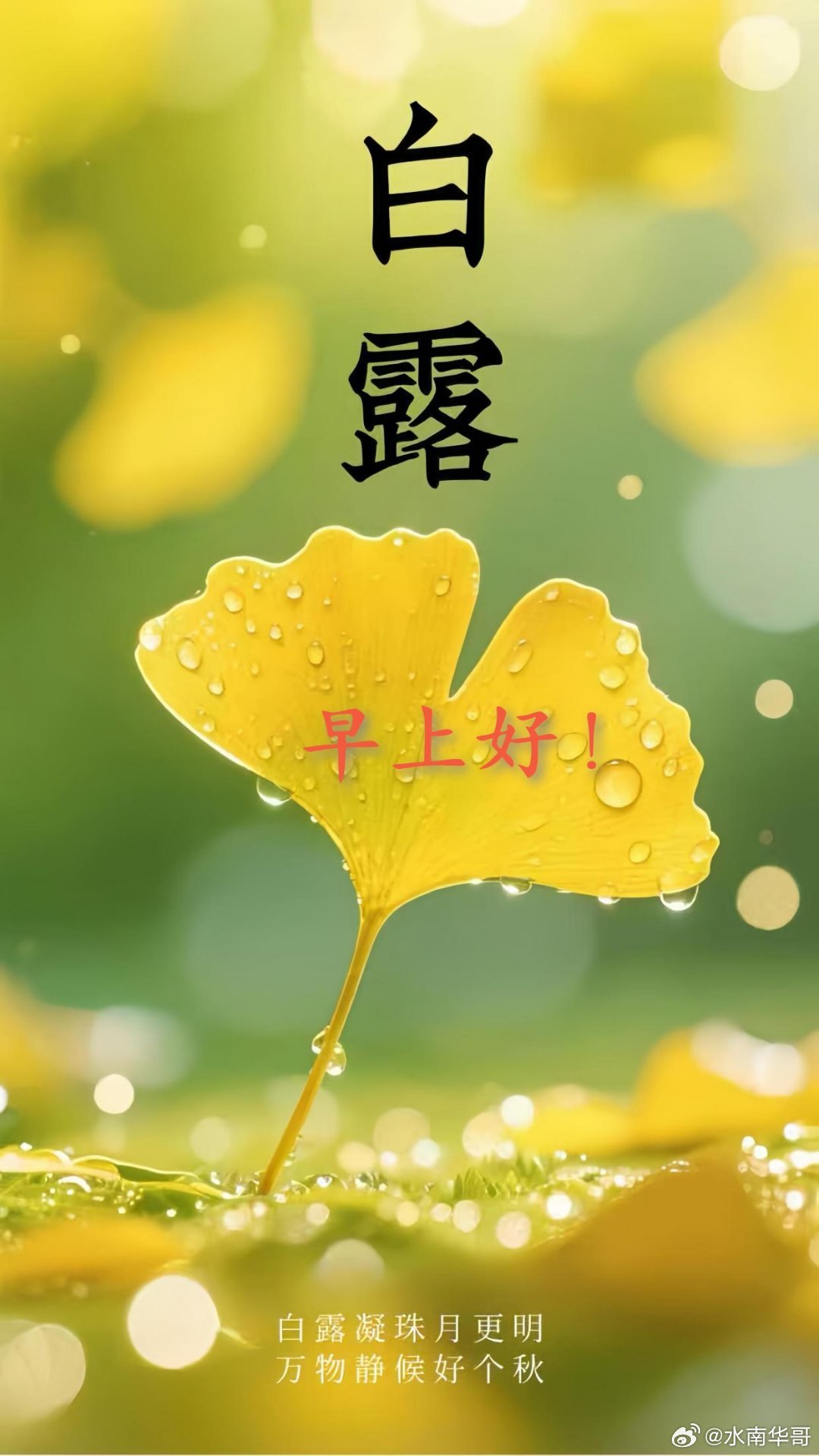 【转发】

白露节气到，向你问声好，

秋风送凉爽，早晚加衣裳，

昼夜温差大，千万别着凉，

困了多休息，累了少些忙，

白露到了，

祝福我的朋友，

秋日吉祥，白露安康。 ​