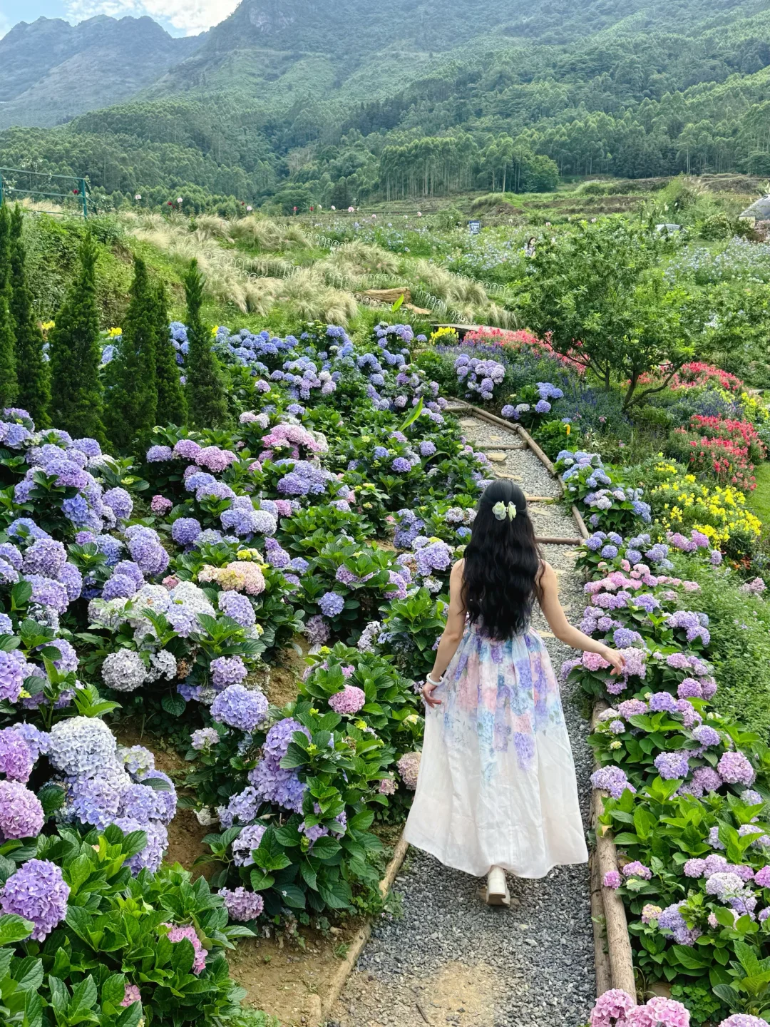 不是丽江！是兴业！玉林开车直达🌸爱丽丝花园