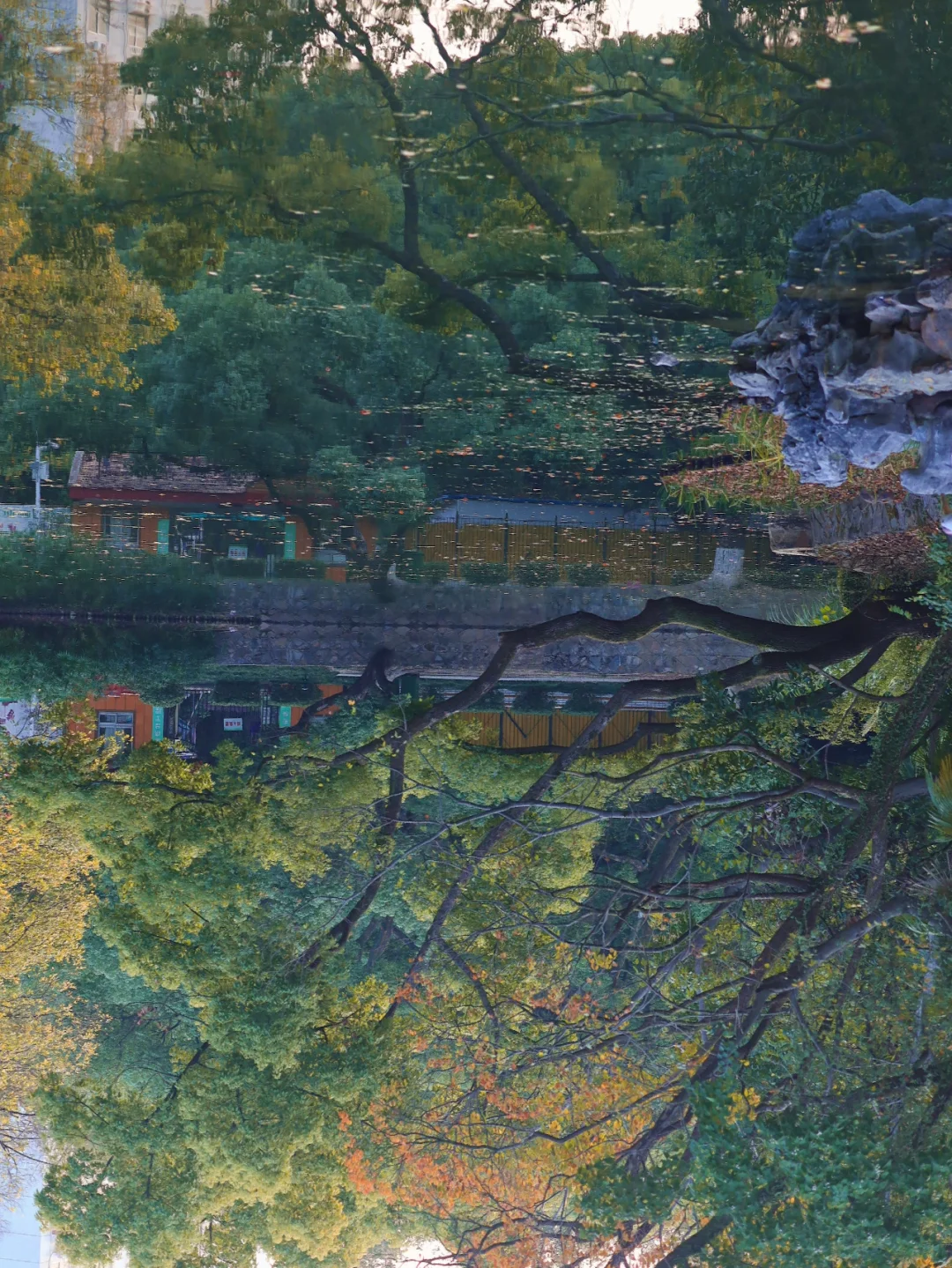 天呐❗️我这是闯入新海诚动漫了吗/武汉