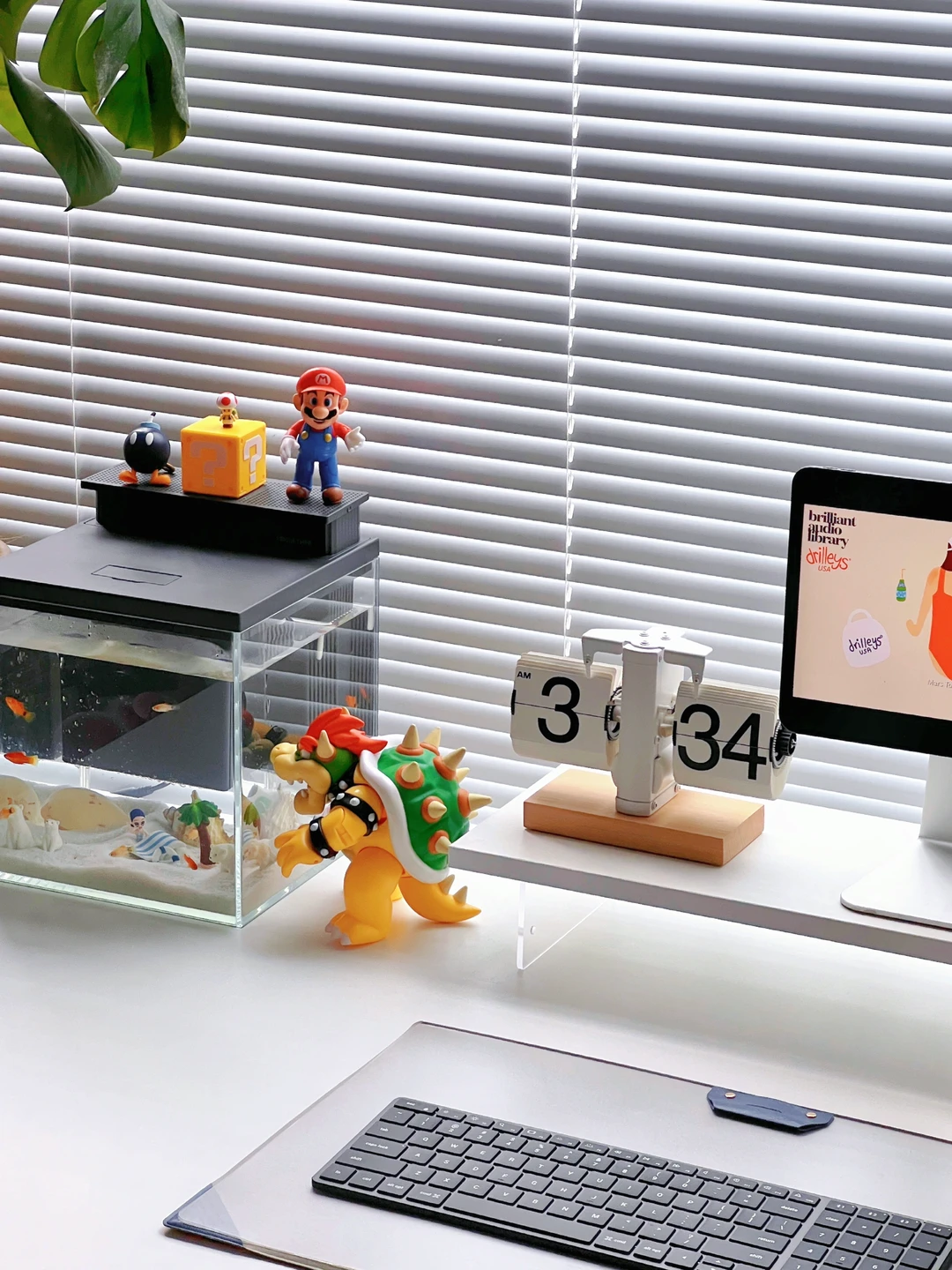 新手养鱼轻松get❗️一步到位的桌面鱼缸