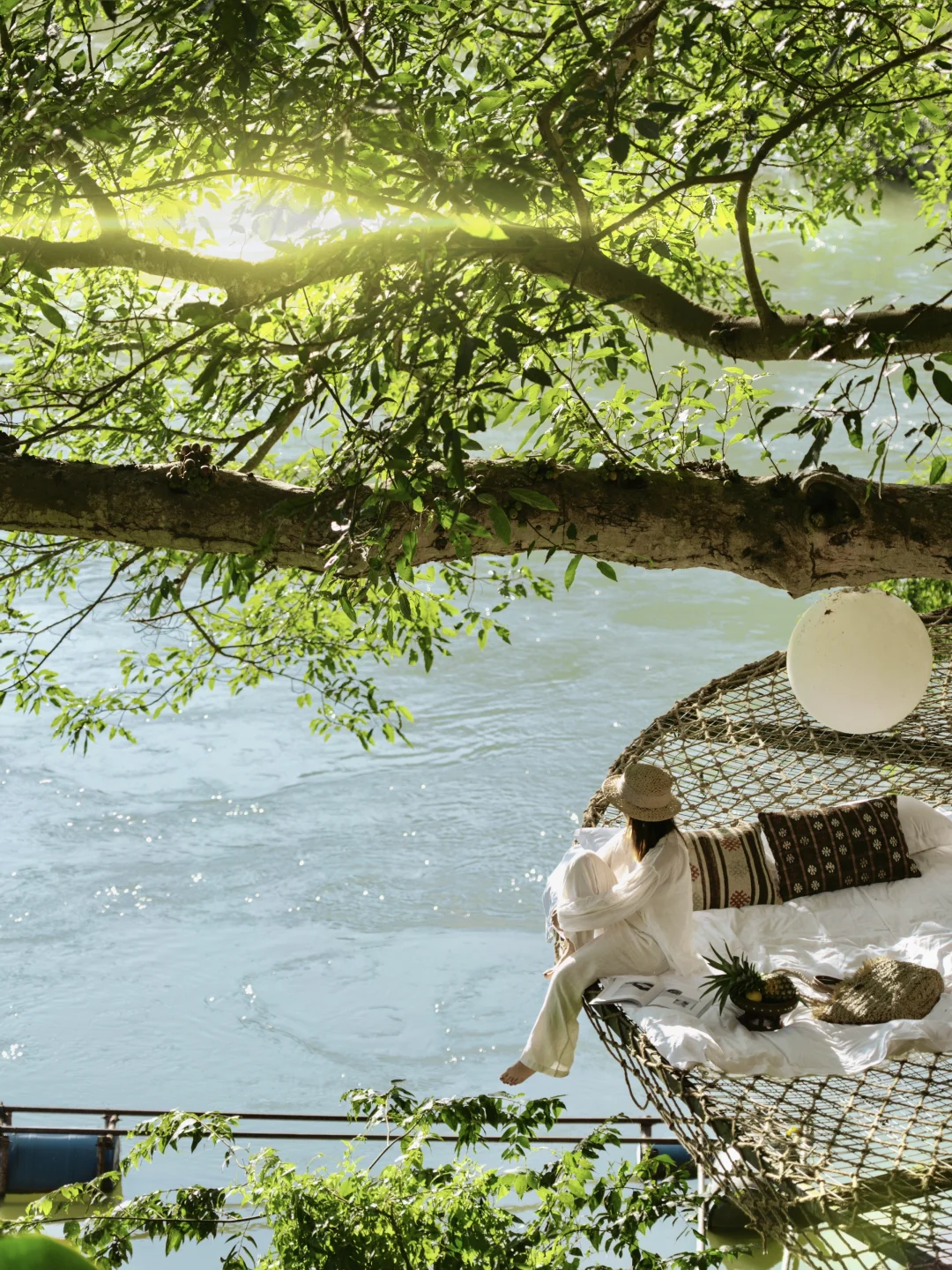 “夏日记忆，是版纳雨林里的时光切片”