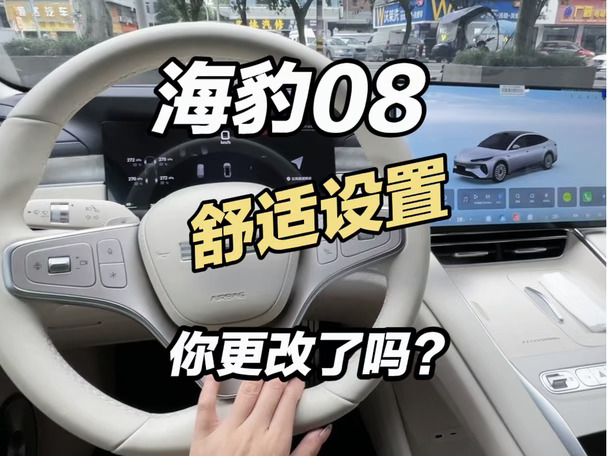 海豹08舒适设置、你更改了吗？