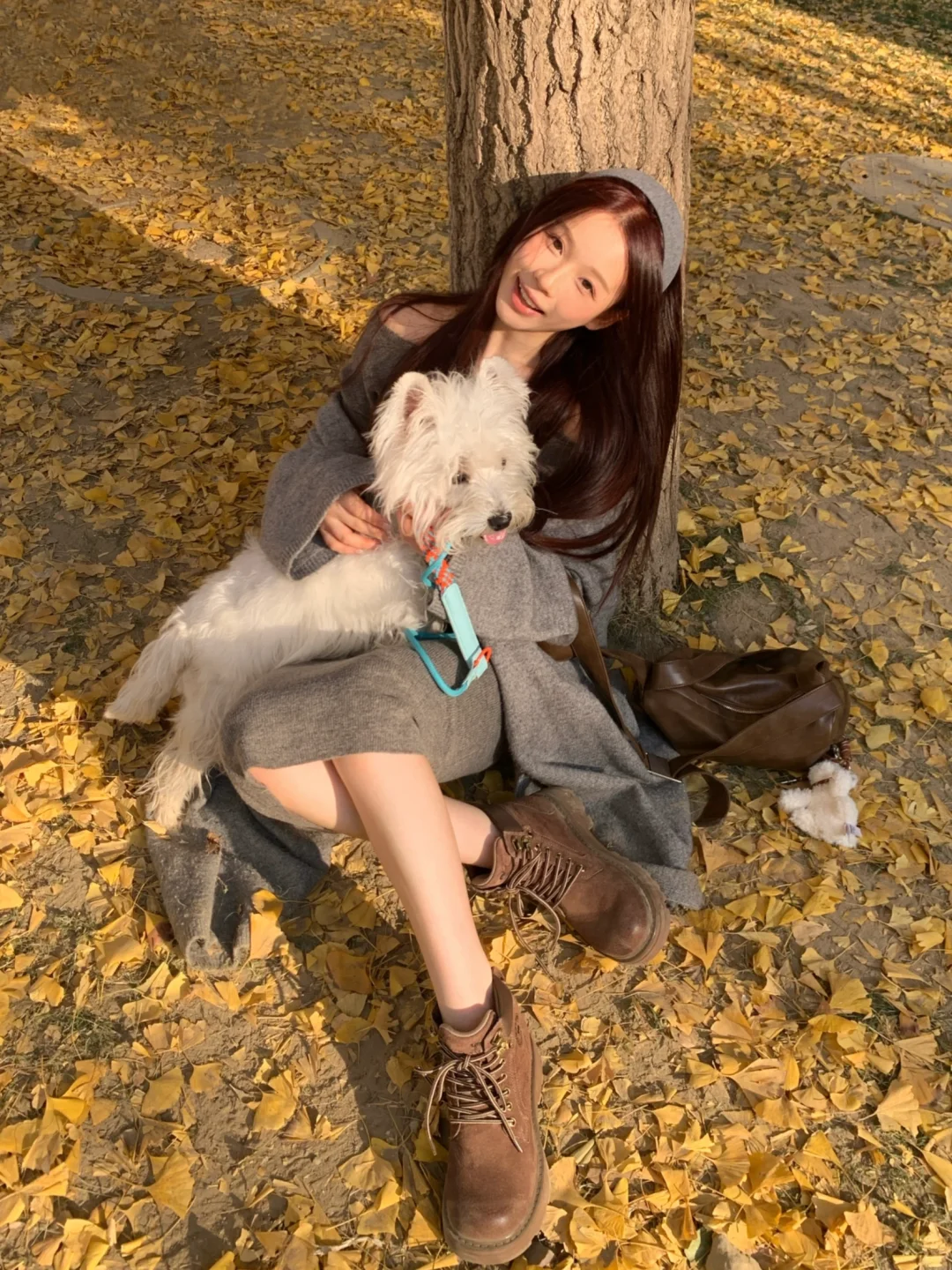 ☀️阳光晒透小狗狗