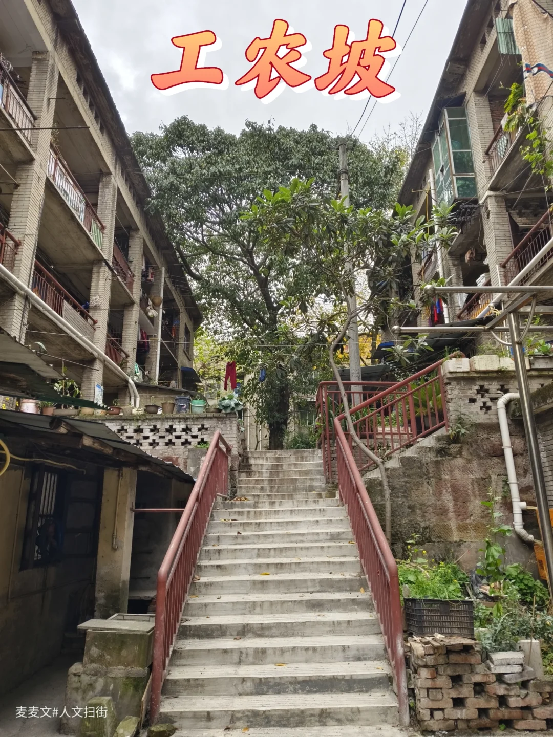 【沙坪坝】也有一个充满历史韵味的工农坡