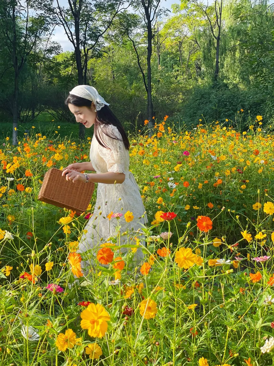 北京！奥森的黄秋英花海真的美到窒息❗️