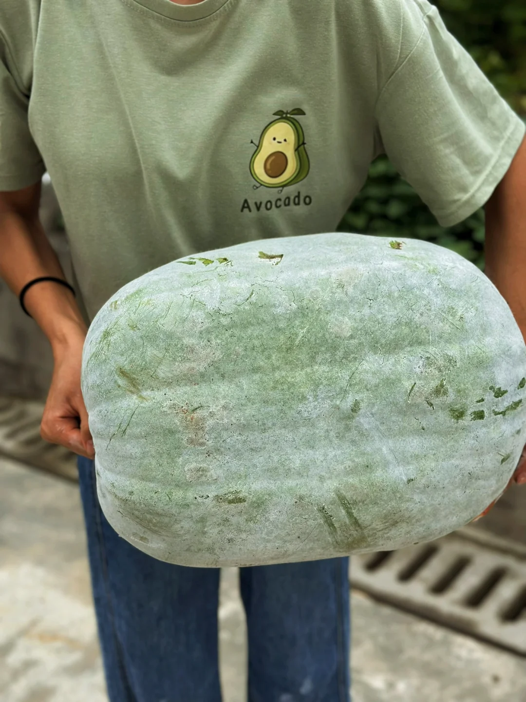 老家菜地冬瓜太多了哪里吃的玩哦求消耗方法