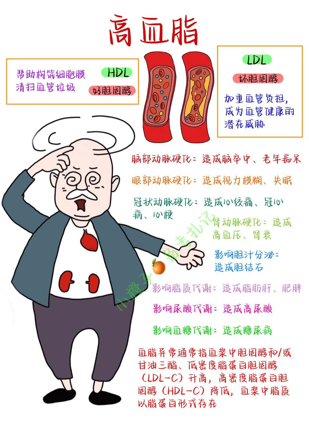 胆固醇up⬆️警惕高血脂⚠️