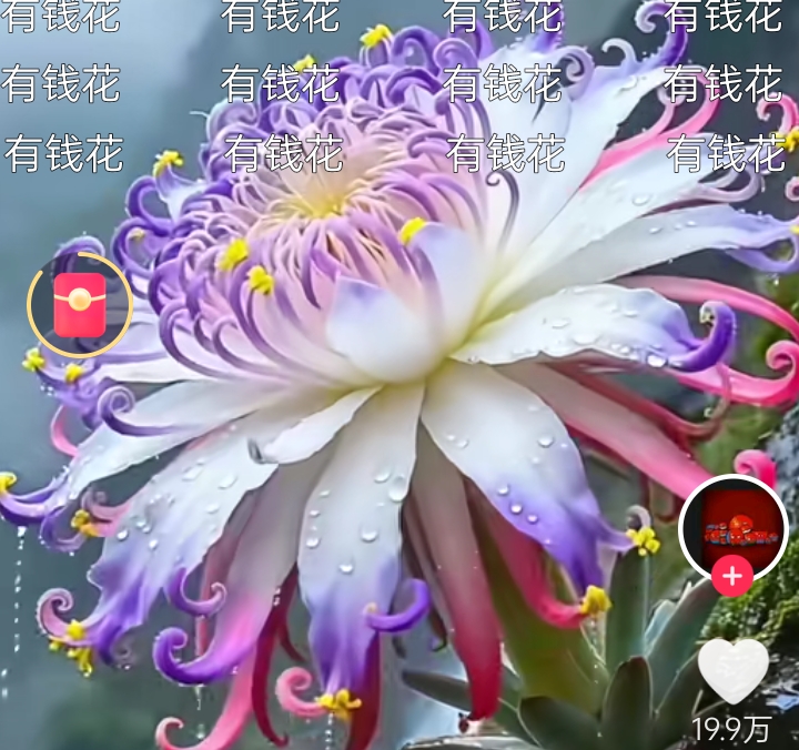鹿鼎记的韦小宝是我最喜欢的一个角色，小说我翻来覆去看了三遍，陈小春、张卫健、黄晓明几个版本的剧也都刷过，一直有个没被拍透的细节梗在心里绕：韦小宝刚冒名顶替小桂子的时候，就没人起疑心？
现在多数版本都把这段拍得太顺了，好像他换身衣服往宫里头一站，所有人就自动把他当那个跟海大富多年的小太监。但原著里真的