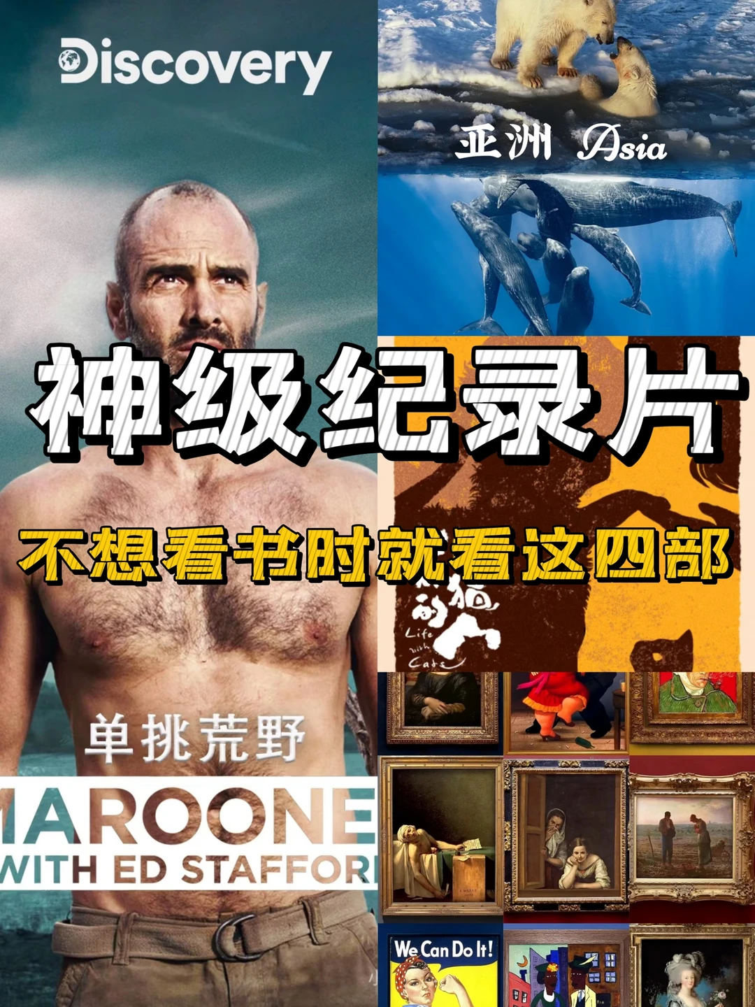 任何人错过这几部纪录片我都会伤心的ok？