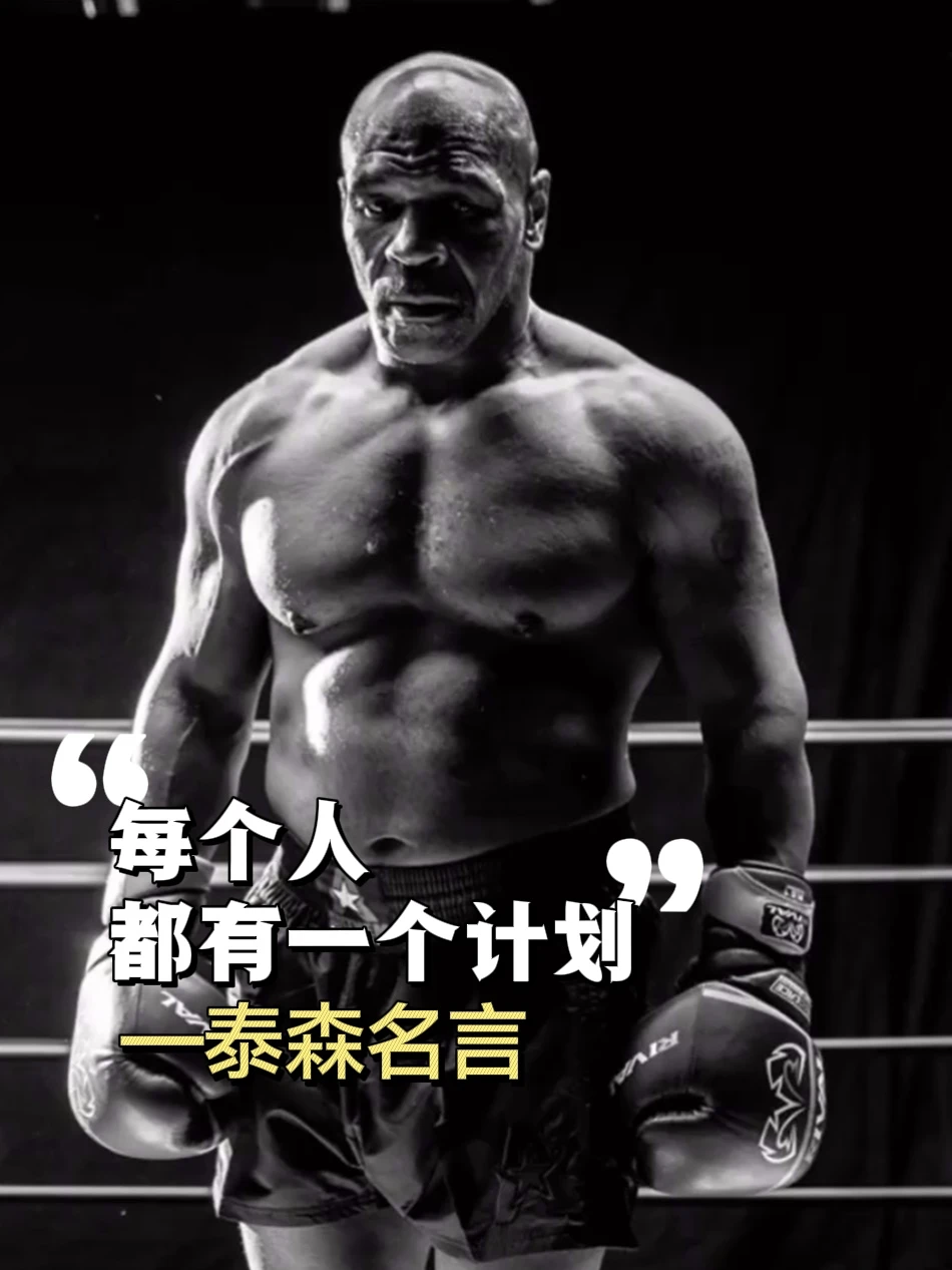 每个人都有一个计划，直至…❗️泰森经典名言