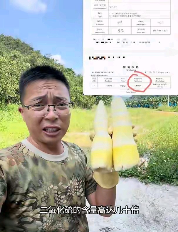 硫磺熏笋一晚搞定，正规加工要三到五天。

这个时间差，就是这门生意真正的底牌。

9月18日，广东清远市市场监督管理局发通报，博主“渔猎齐哥”暗访曝光的英德硫磺熏笋窝点，情况属实。

执法人员到场查封，公安已经对相关人员依法采取措施，同时对涉事竹笋流向紧急追溯，全市麻竹笋收购、加工、销售环节开展全面