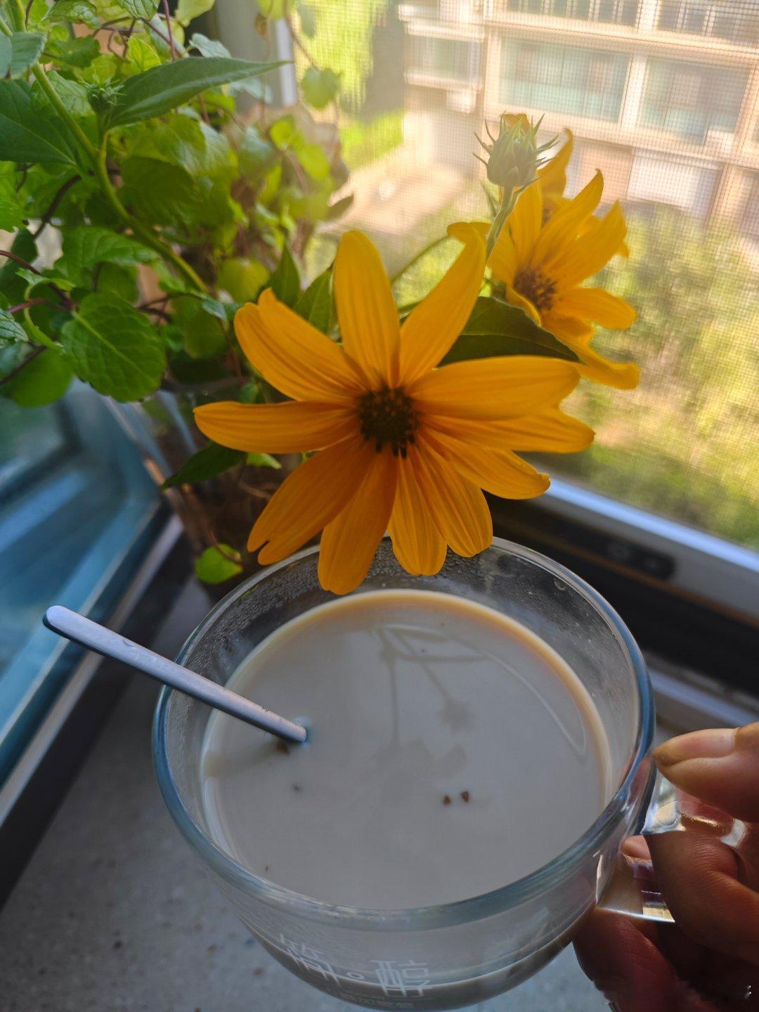 美好的一天从早餐开始～
周四愉快呀！[鲜花]

今日份早餐∶
香菇油菜豆腐、彩椒胡萝卜拌莲藕、火龙果馒头、苹果、无花果、莲藕茯苓白芝麻红枣花生黄豆浆、葡萄干南瓜子无糖酸奶～

今天是和洋姜花一起喝姜枣奶茶～

#营养早餐##人间烟火气##生活手记##早餐[超话]# ​