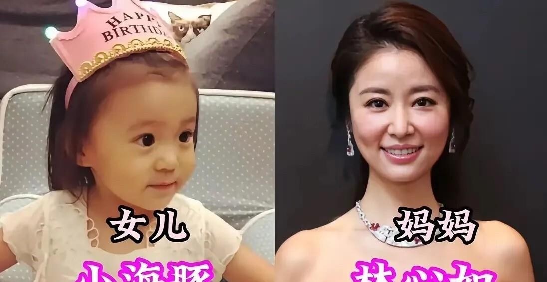 蔡少芬大女儿叫张楚儿，不是张信儿，金喜善女儿是朴妍雅，不是朴研儿，连名字都能写错，这波“基因通稿”翻车翻得有点离谱。细看更逗，贾静雯三个女儿，梧桐妹、咘咘、Bo妞，文案只拎出个“修允菲”，王菲明明还有李嫣，却只写窦靖童，合着是挑着好写的凑数。但话说回来，抛开这些硬伤，基因这事确实藏不住。孙俪女儿邓涵