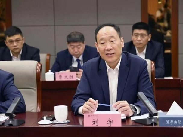 中国资源循环集团有限公司原董事长刘宇被查