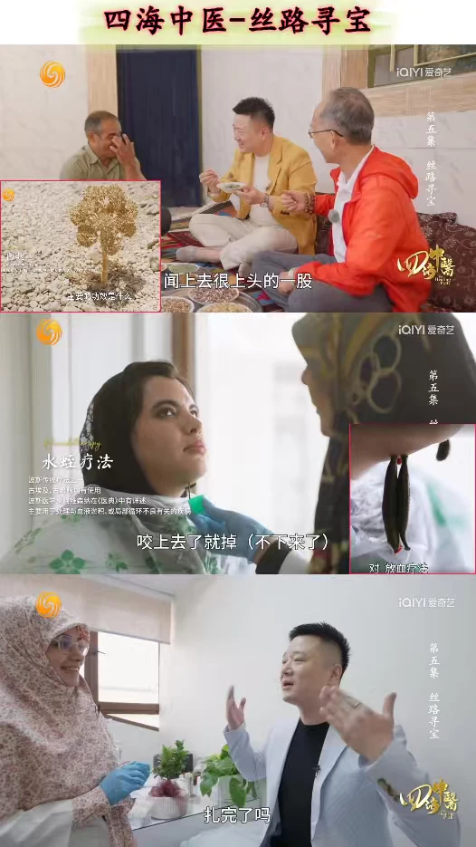 《四海中医》治好了我的精神内耗！🌿