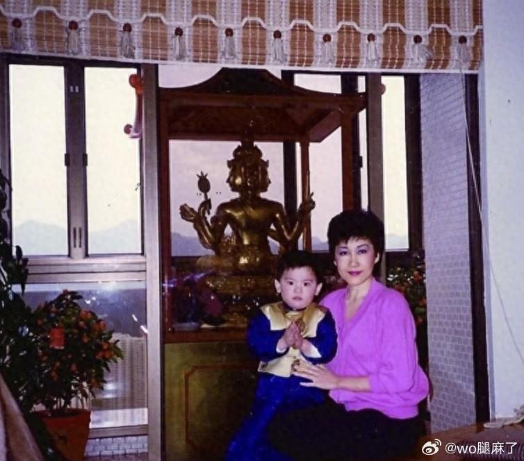 1987年，丁佩与当时还是孩童的小向佐同框合影，这是一张极其罕见的珍贵老照片，展现出豪门家庭难得的温馨烟火气 ​