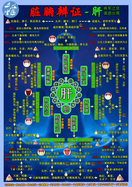 🌟肝最怕的10件事｜全网最全「肝脏辨证」