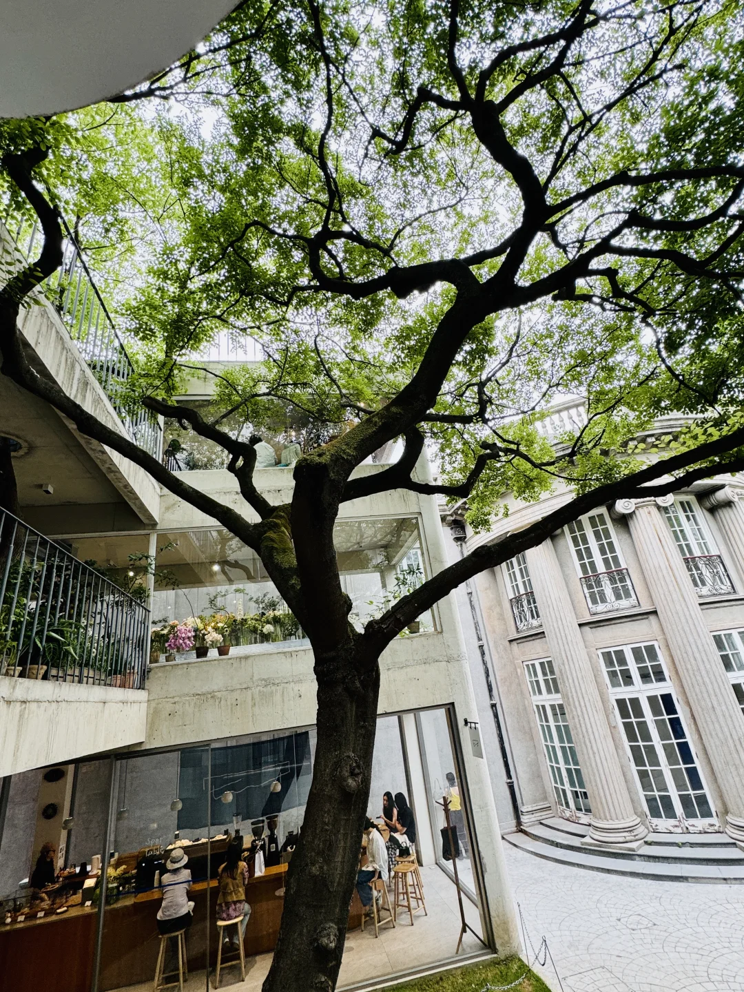 上海citywalk | 感觉像误入春日树屋！🌳🌳