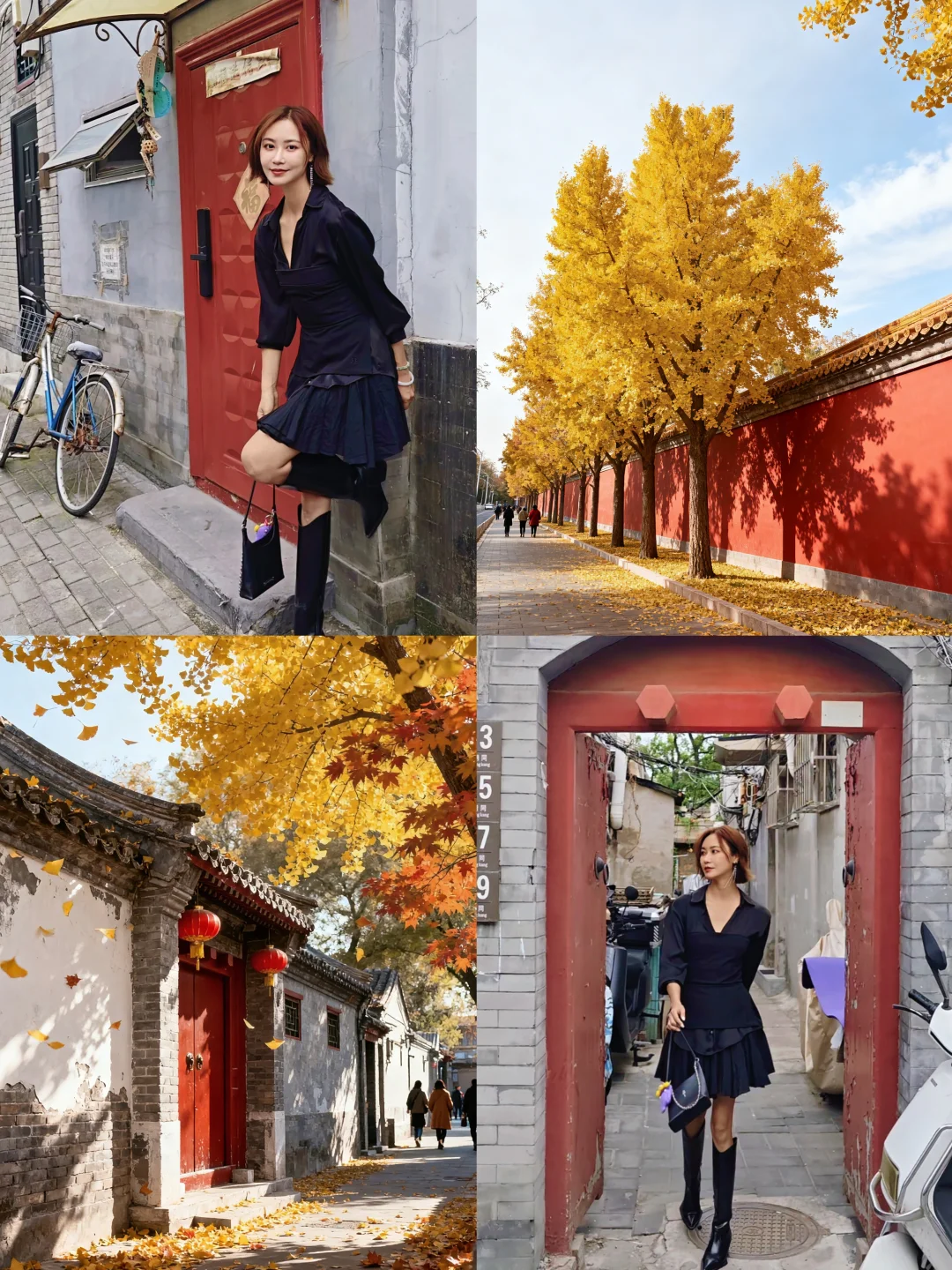 留住秋天的一百种方式之赏北平胡同的秋韵