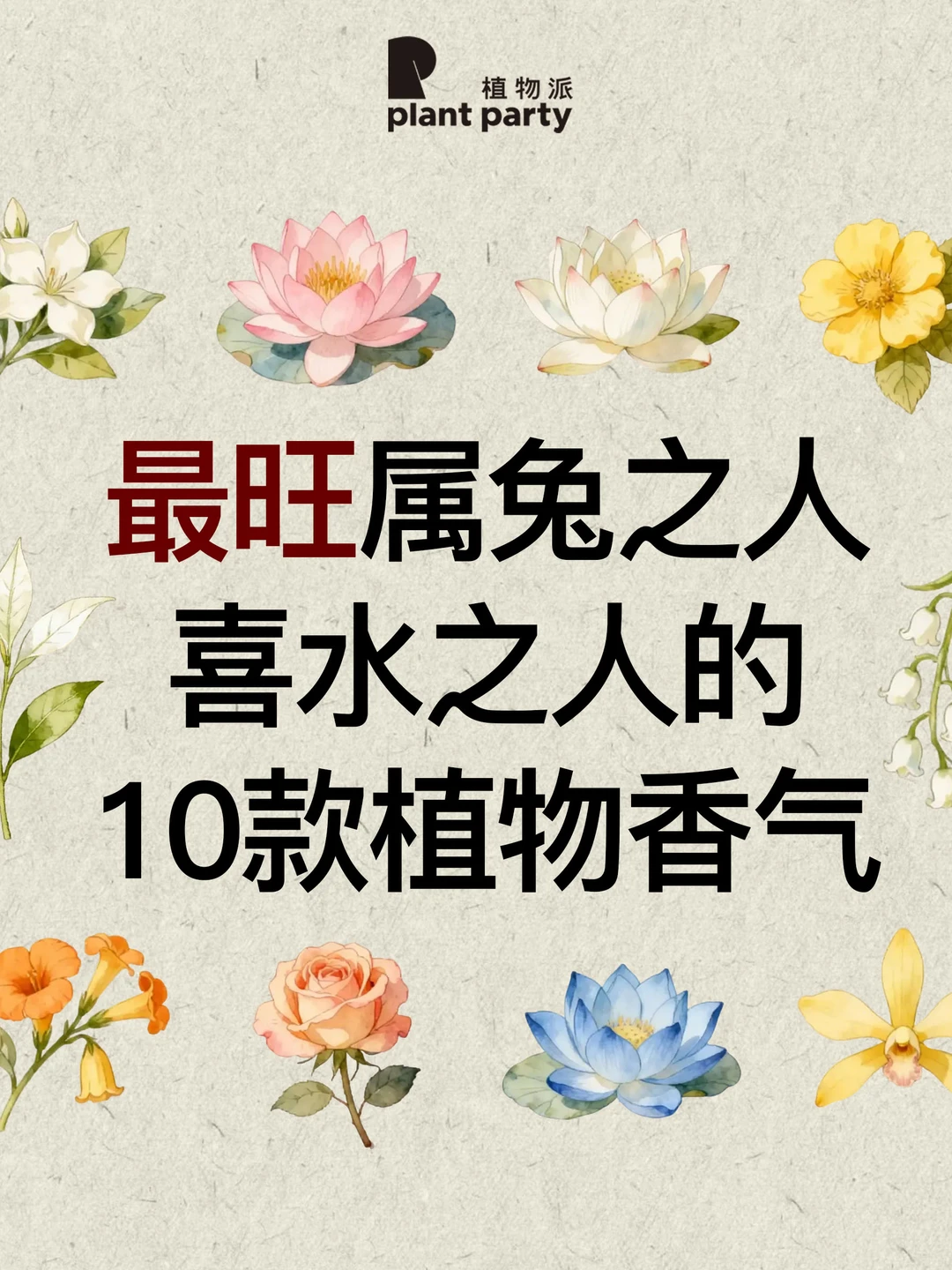 生肖×五行｜最旺属兔喜水之人的香气