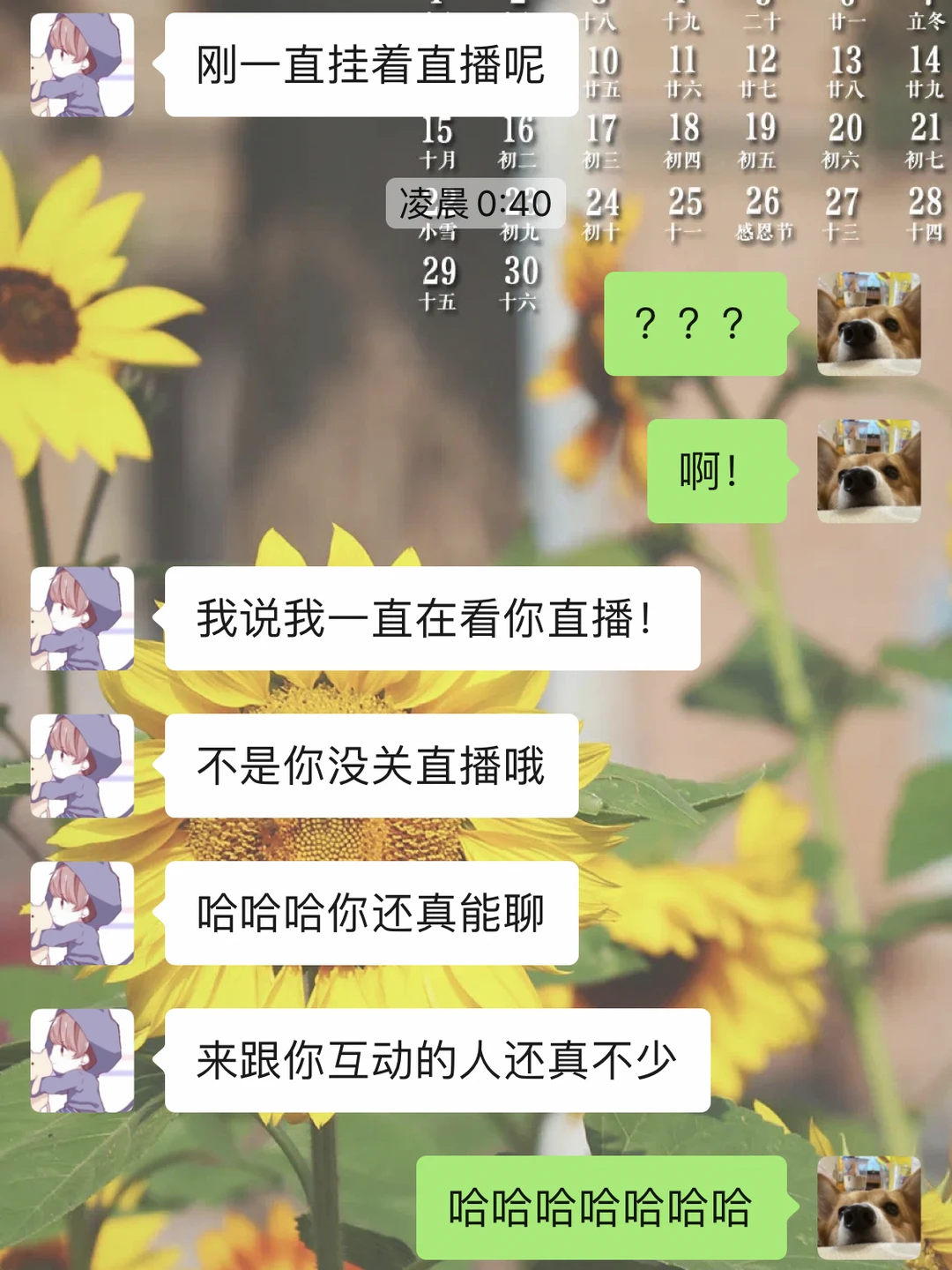我男朋友一直在窥屏我直播🐻
