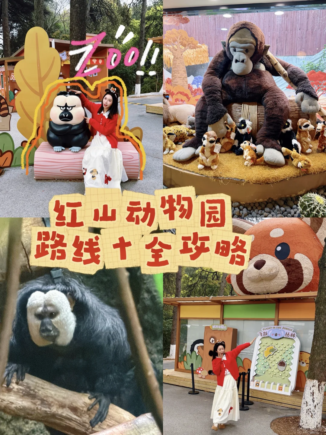 南京红山动物园北门进出精华路线（附攻略）