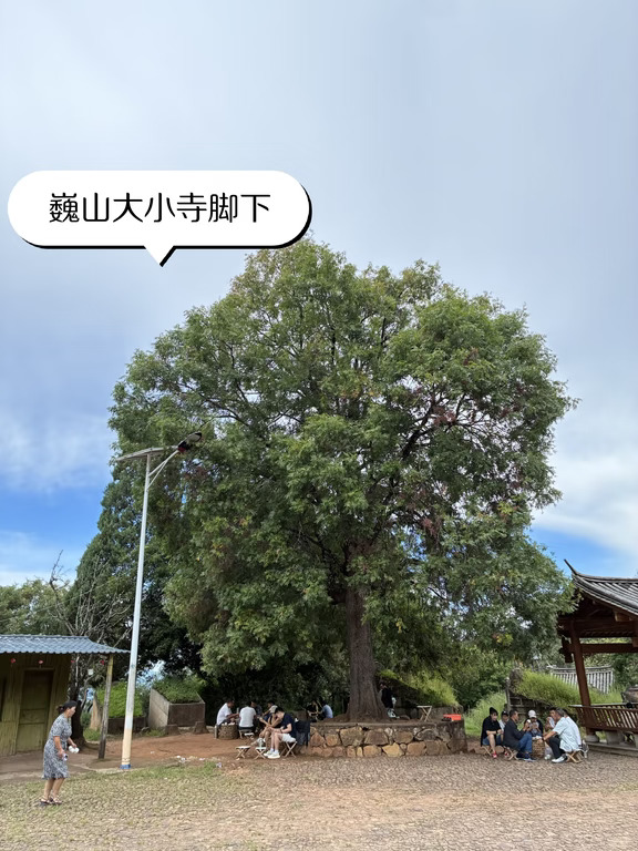 巍山，坟头喝茶下藏着一段悲壮往事