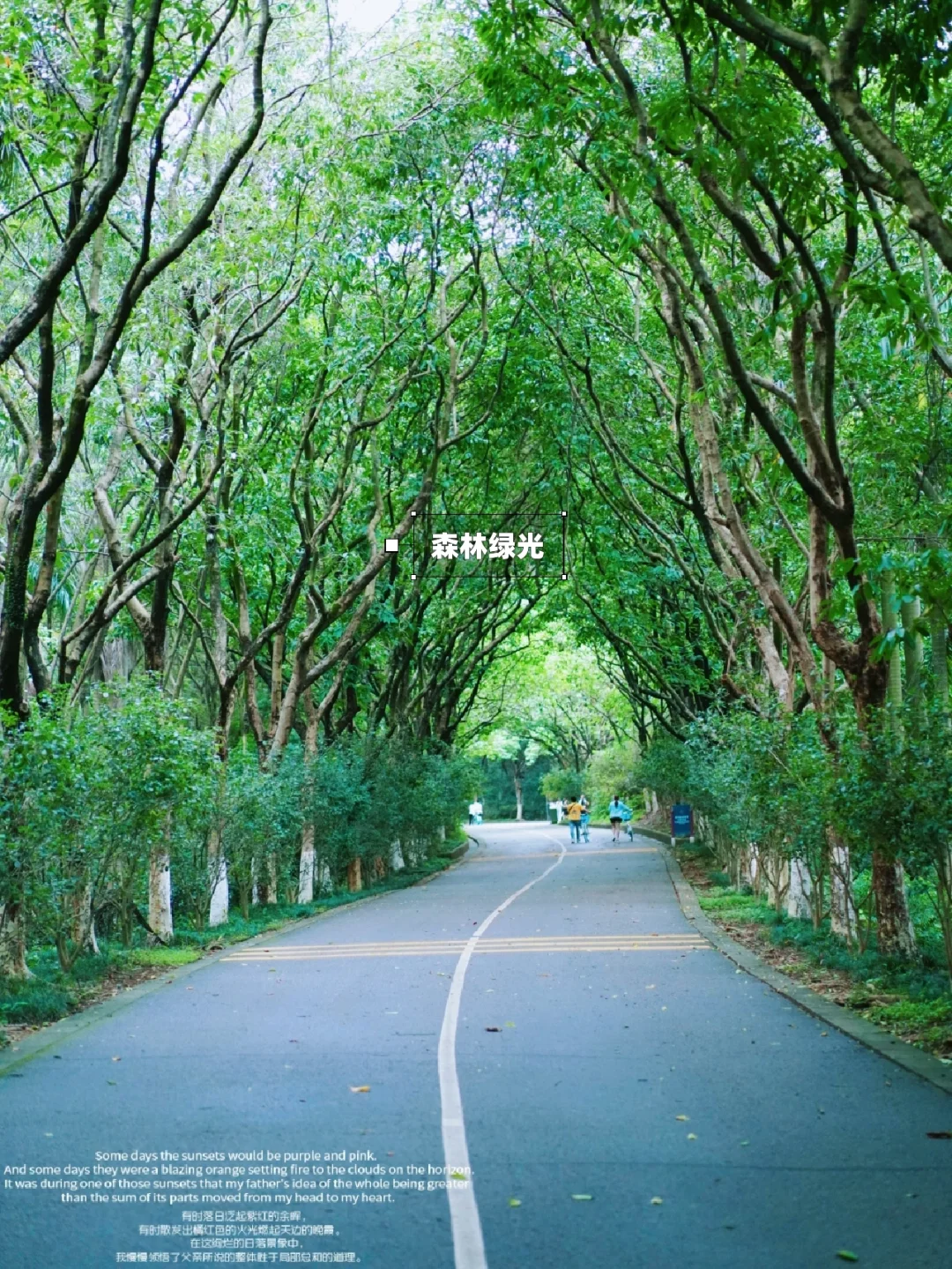 市区免费森林氧吧|爱上骑行🚲遇见美好