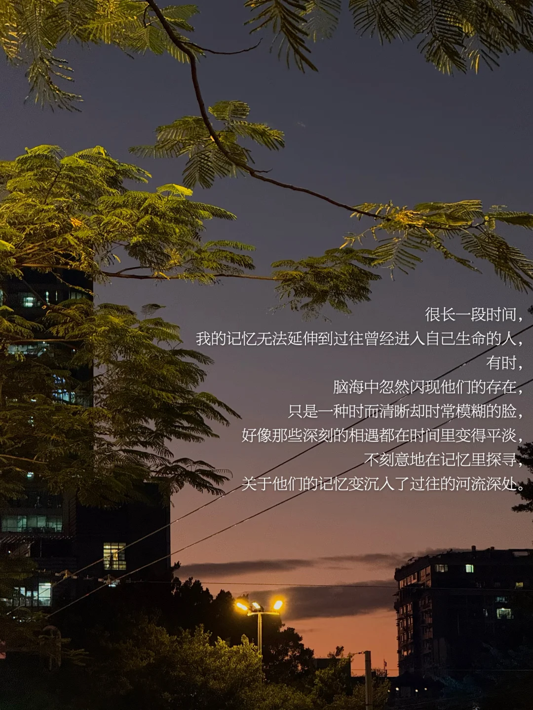 有些曾走入我生命的人，我们不会再重逢了