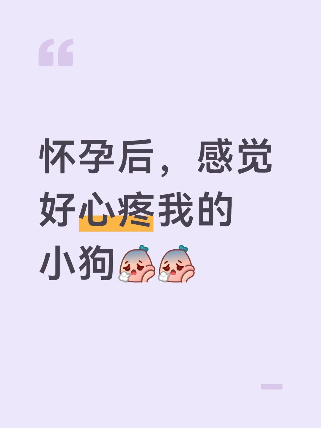 怀孕后，我的小狗每天好委屈