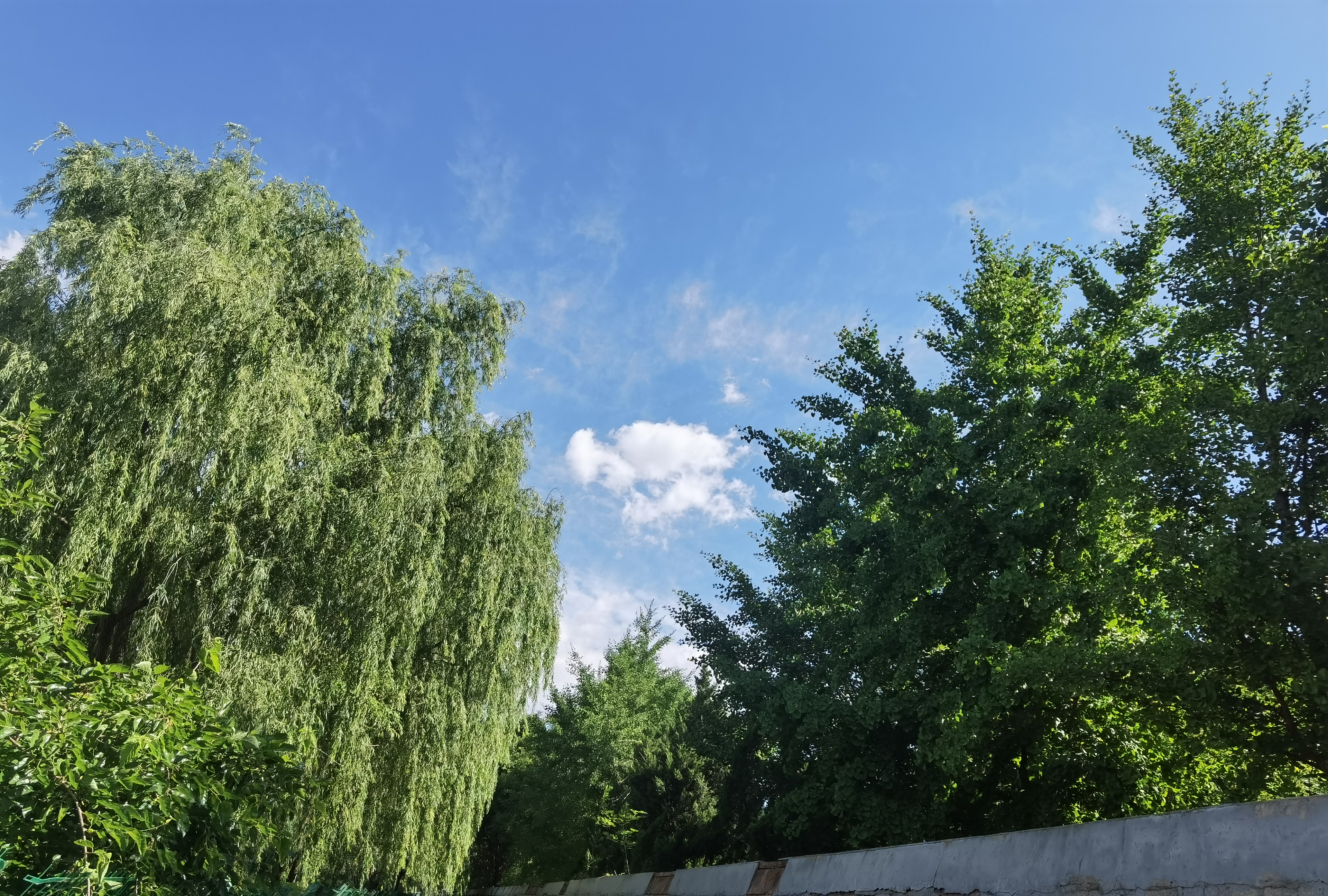 派出所为什么叫派出所最初好像是源于日语，基层单位，后来定为公安局的派驻单位。