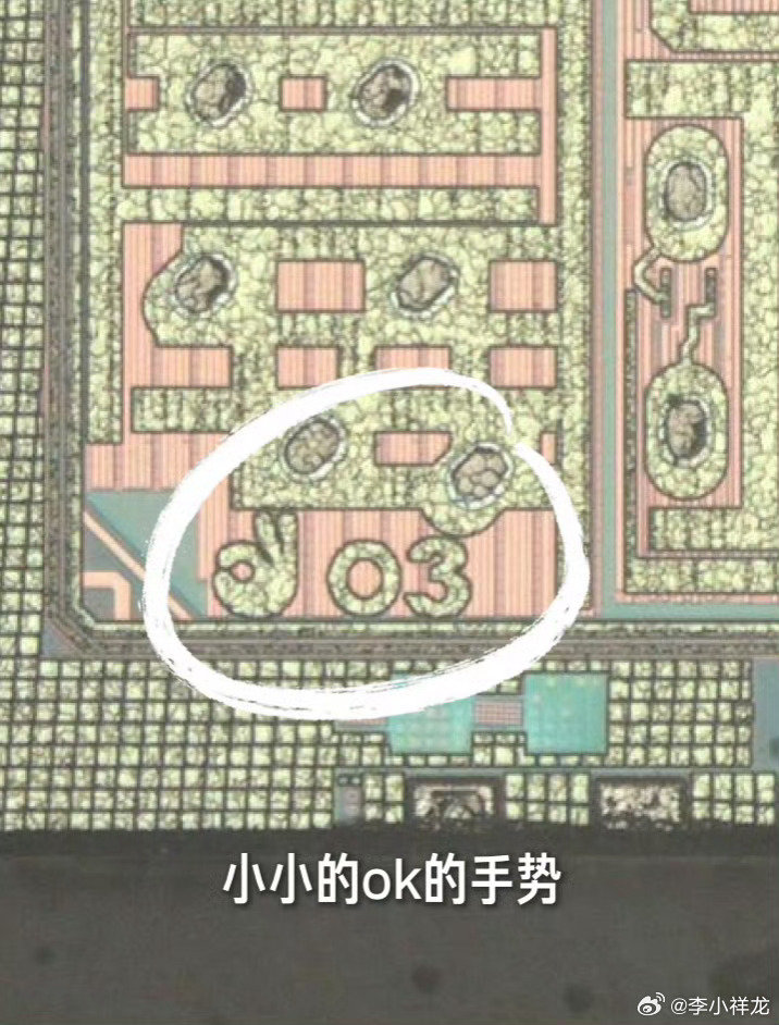 #雷军说芯片很贵不建议拆开看彩蛋#说的我好像有条件拆一样，没想到这小小的芯片里面，还藏着雷总的小巧思，有一个ok手势[哈哈] ​