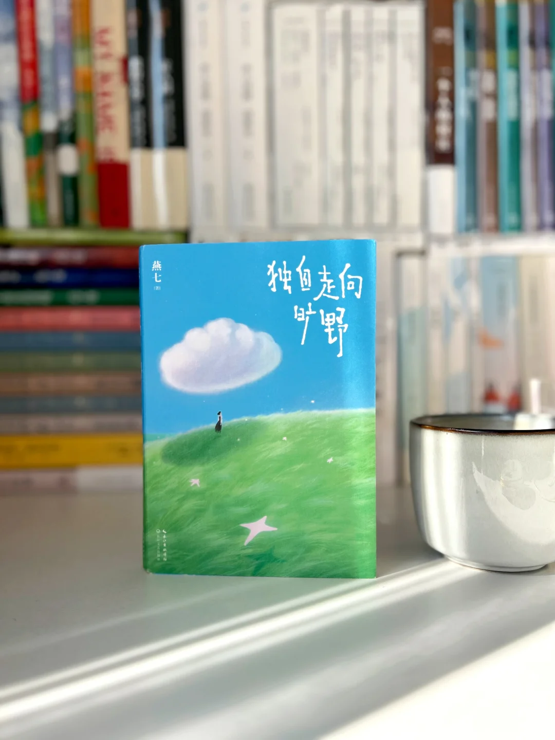 她的文笔简直浪漫到窒息！恨不得全文摘抄！