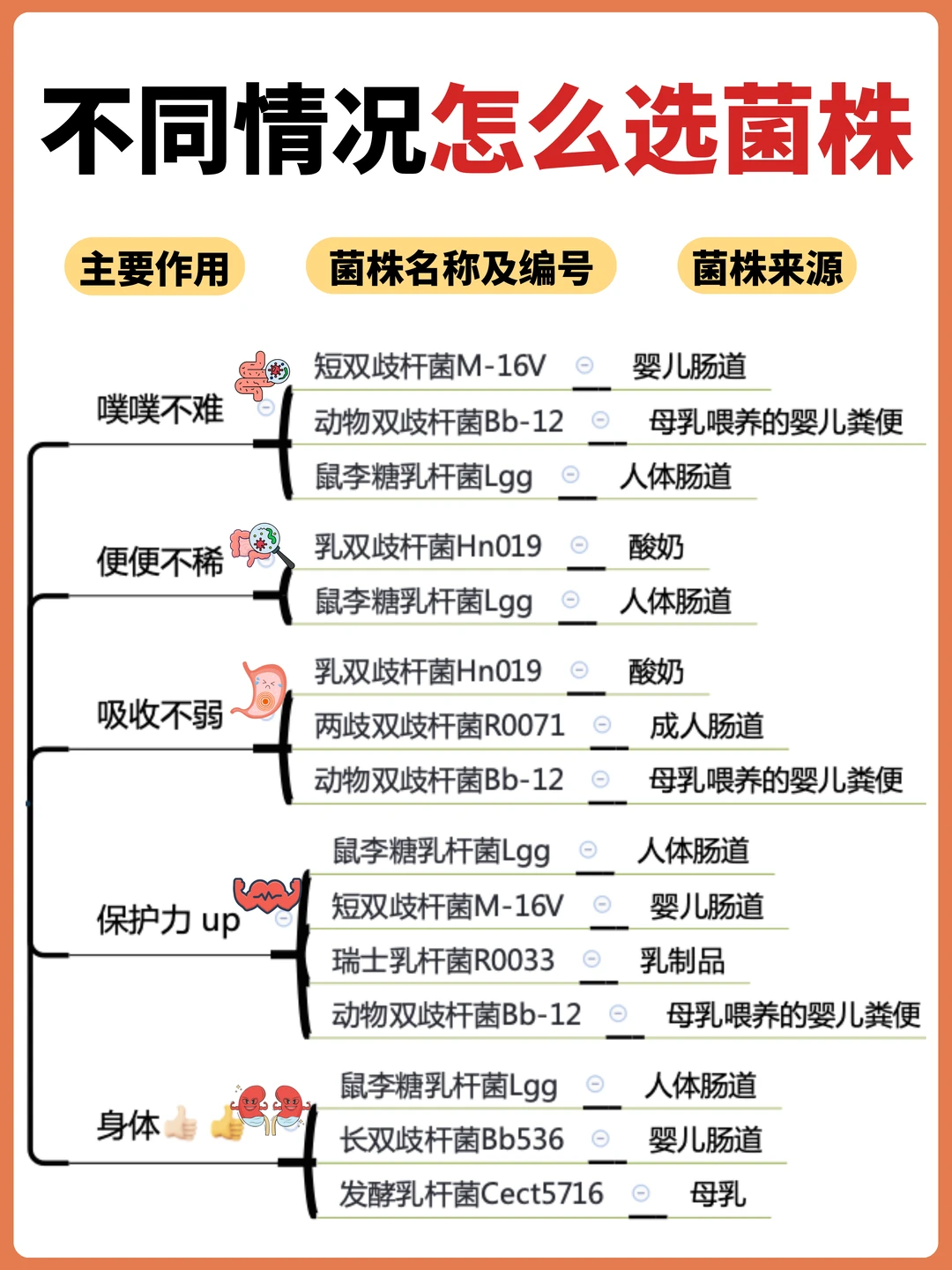 乱喂危害大！一篇讲清益生菌选择+补充全攻略