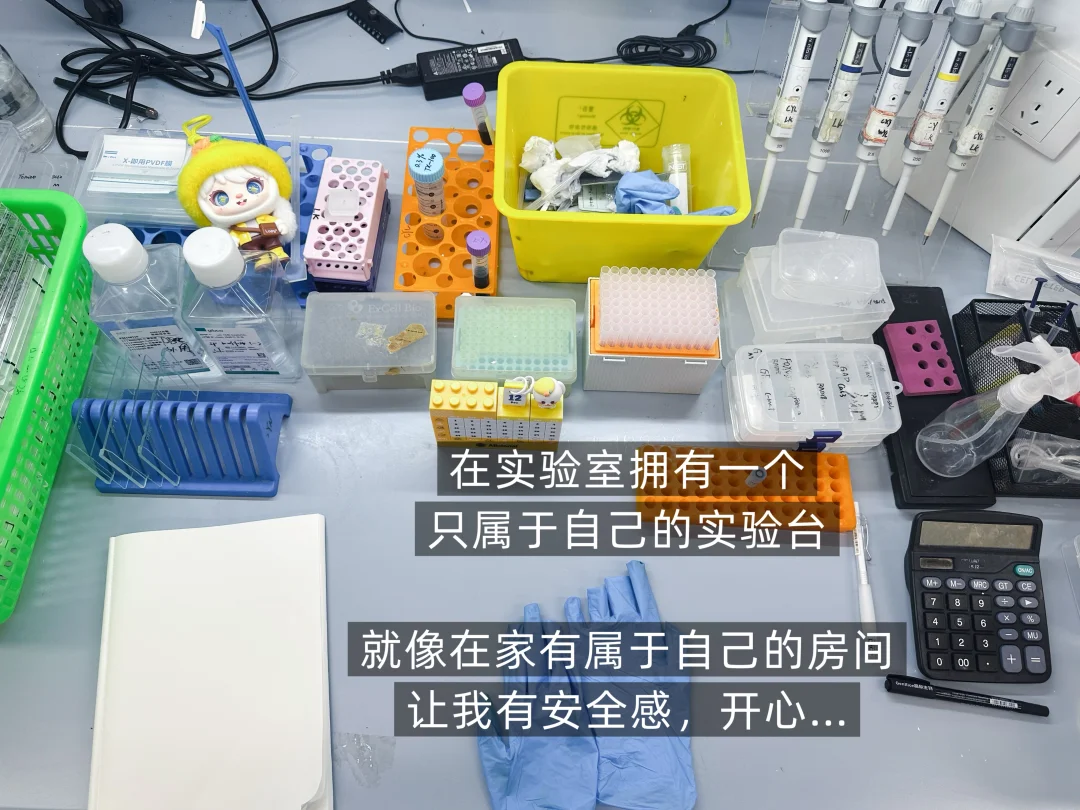 读博的微小幸福感🌱🩵