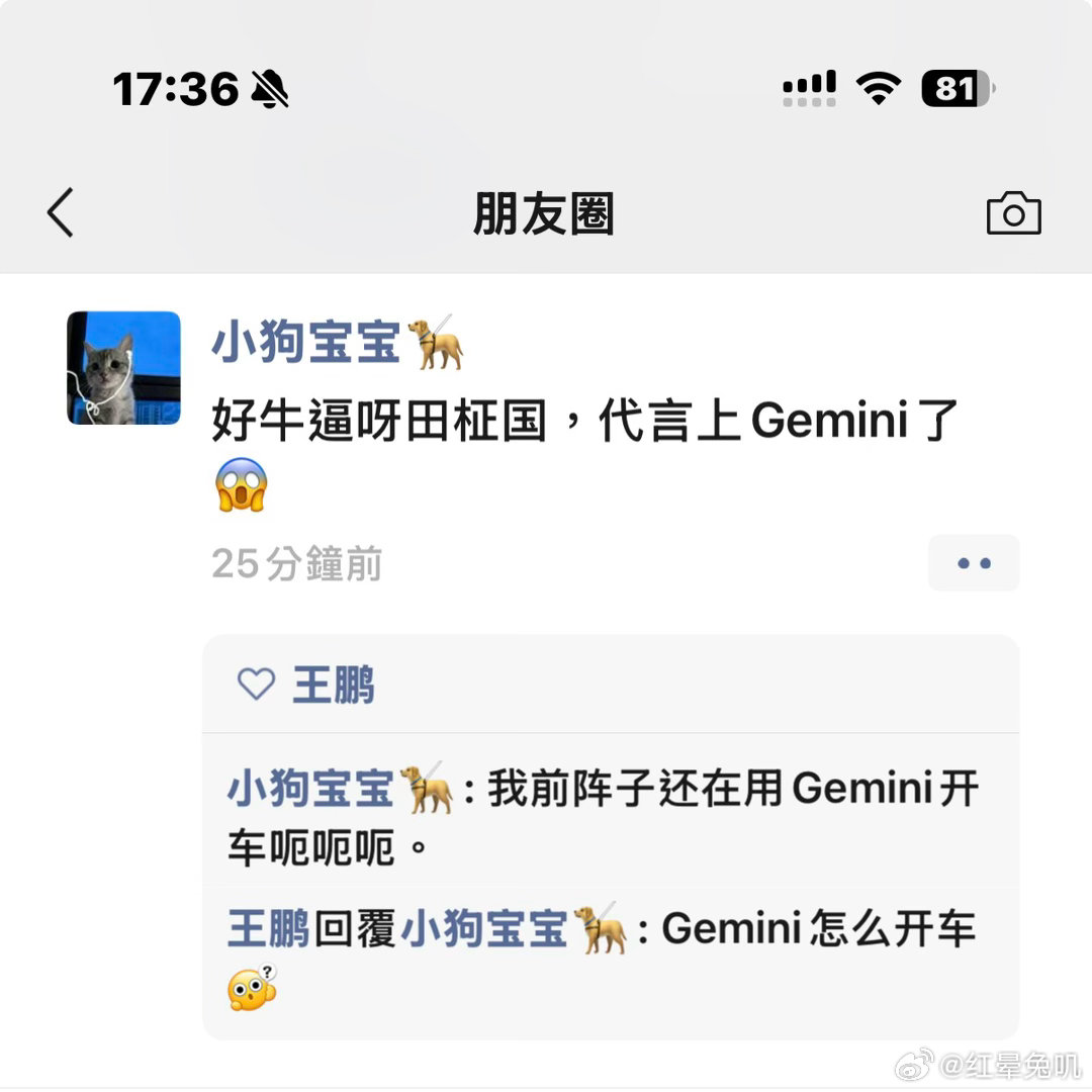 我该如何跟我这个不追星的朋友解释我在Gemini开车呢[捂嘴哭] ​