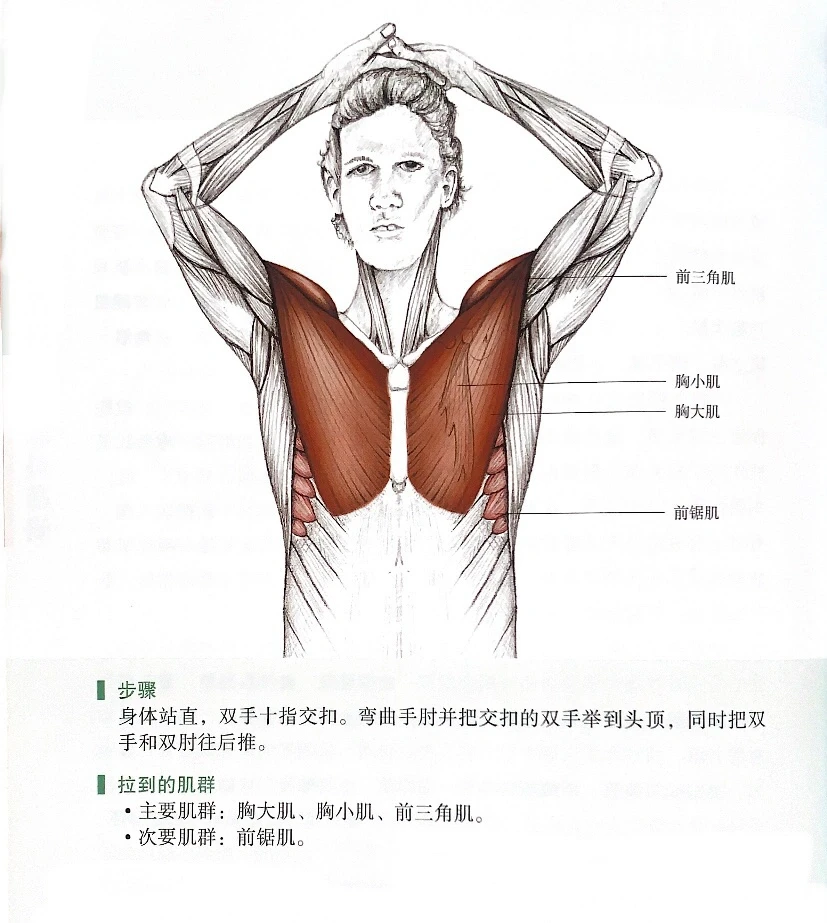 胸大肌拉伸、改善含胸驼背💪🔥
