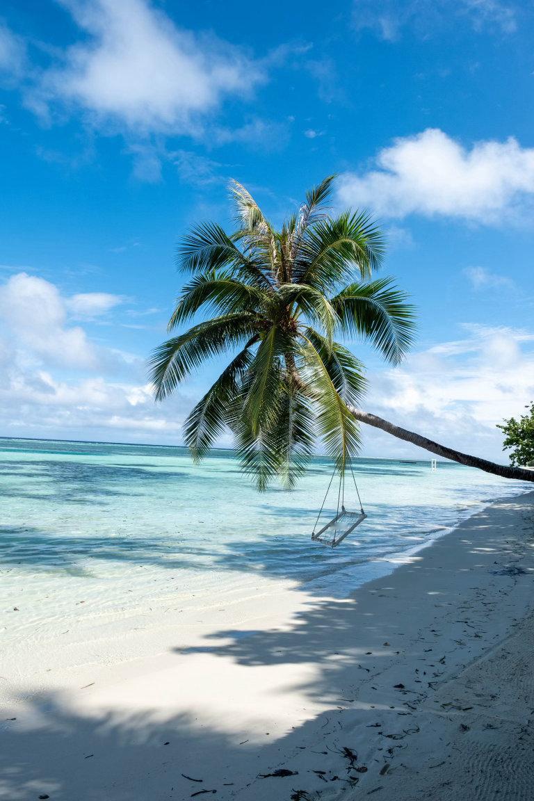 马尔代夫旅游装备大公开！这次全靠PXX撑场面️ 潜水服、泳衣、拖鞋、发...
