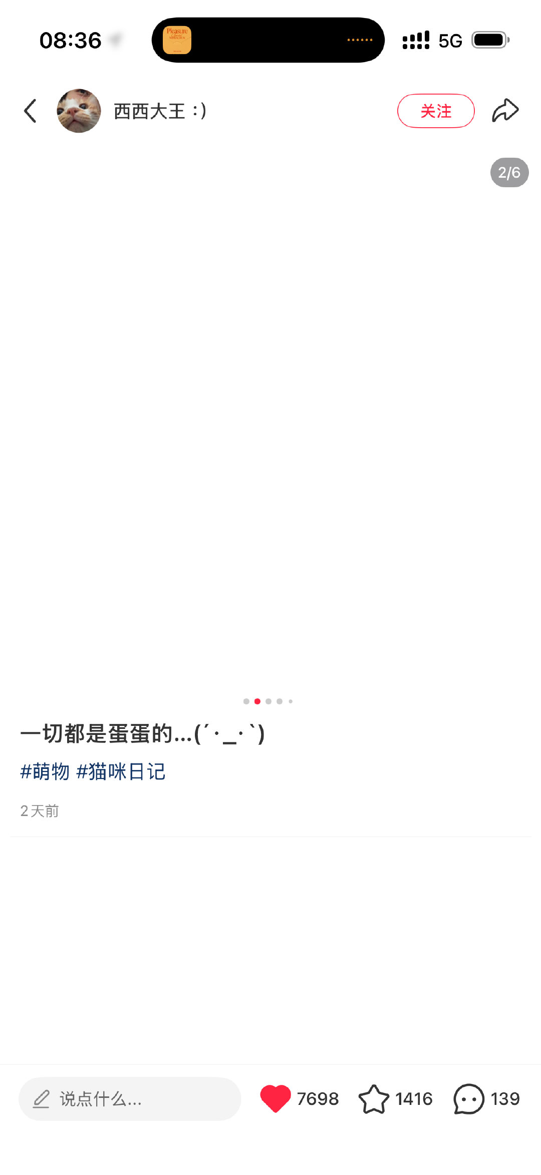 苹果信号你要翔？ ​