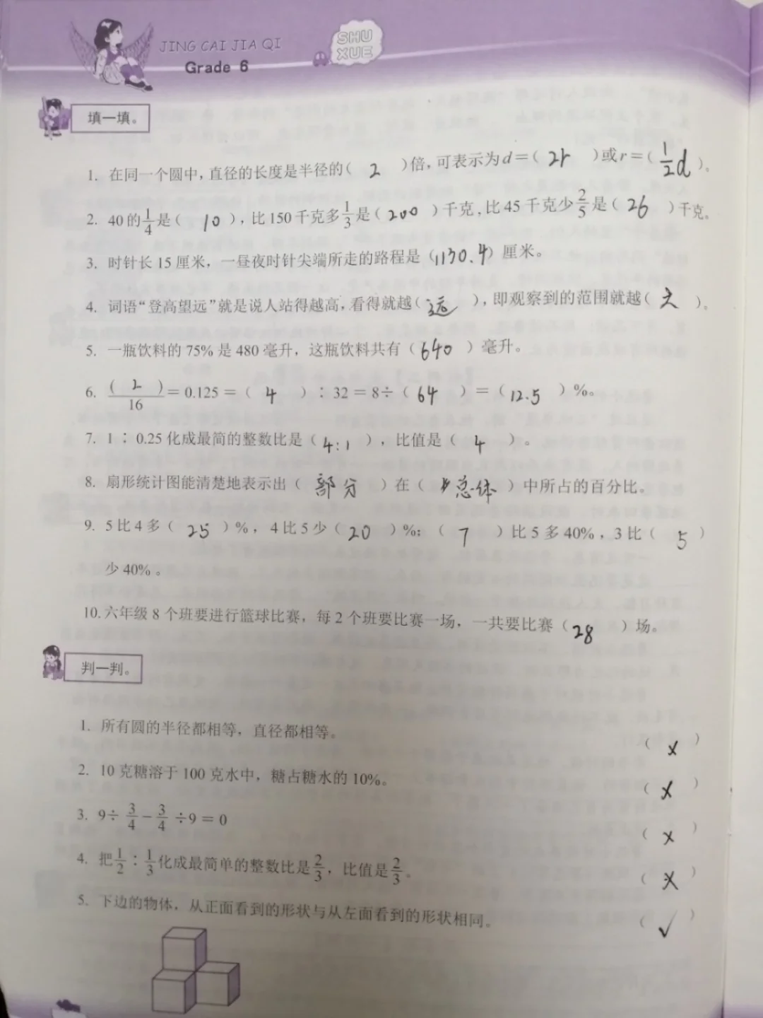 六年级上，寒假作业 数学（1）