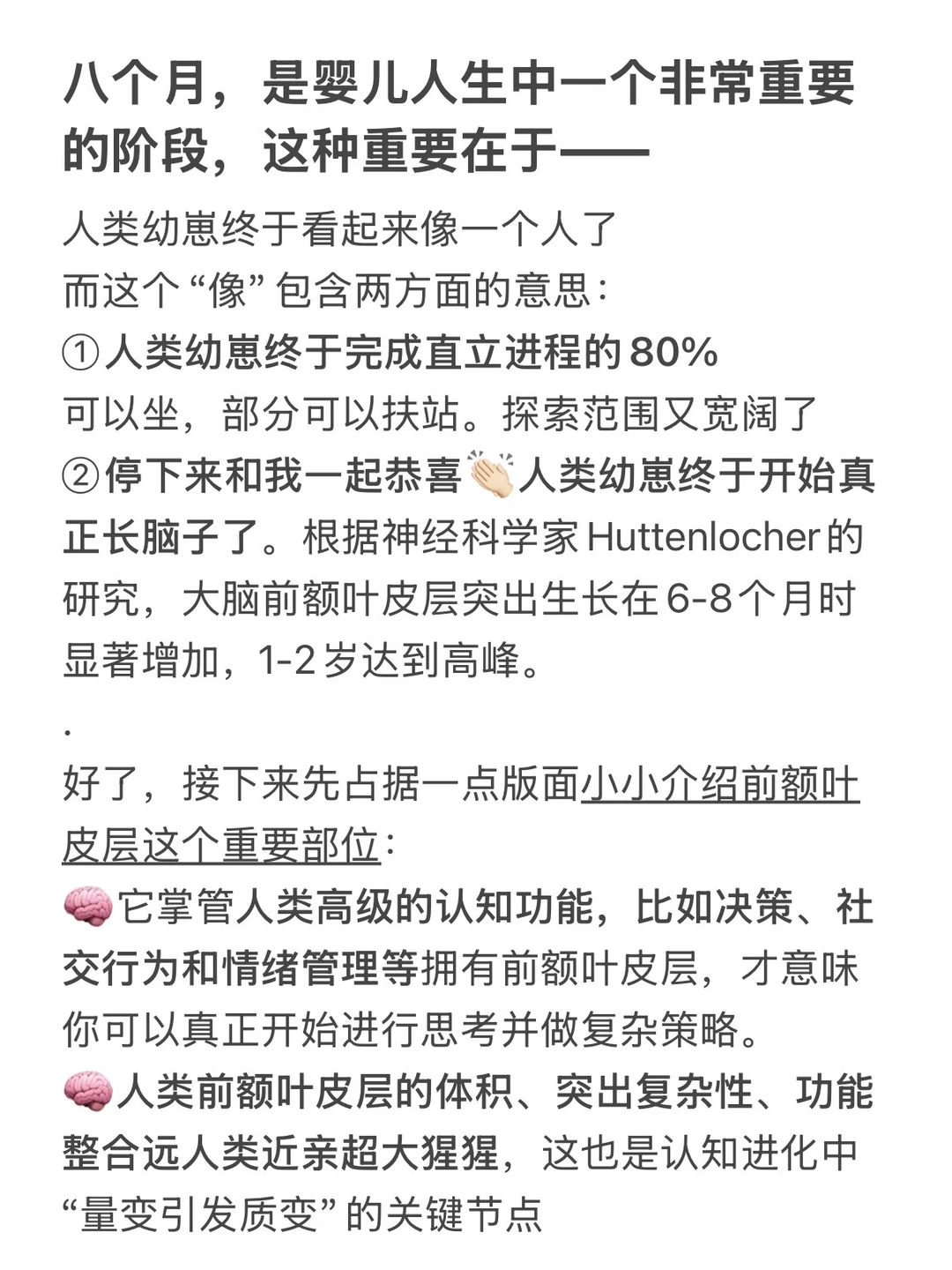 八个月宝宝使用说明书（修订版）