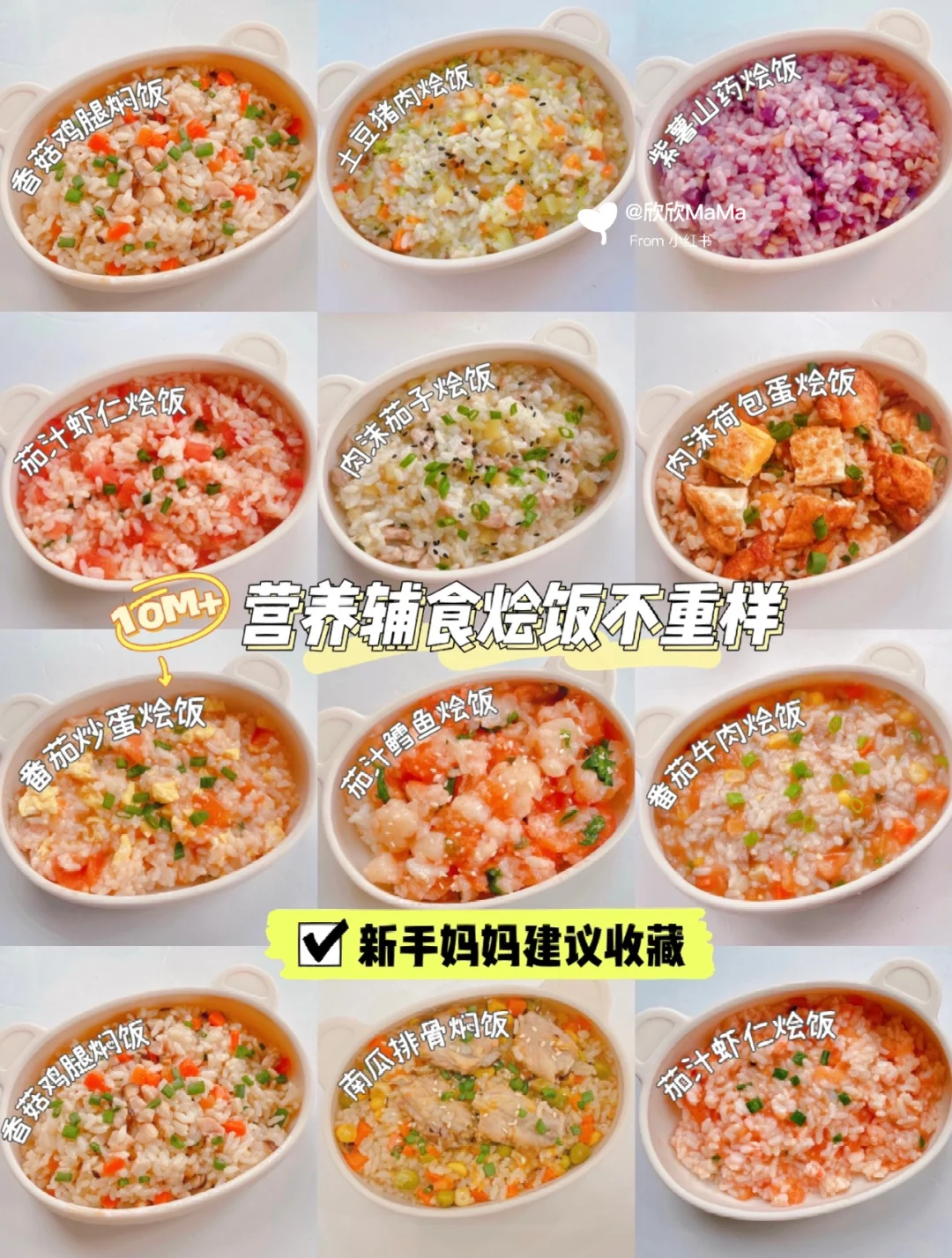 10月龄起｜12款宝宝辅食营养烩饭｜搭配一周