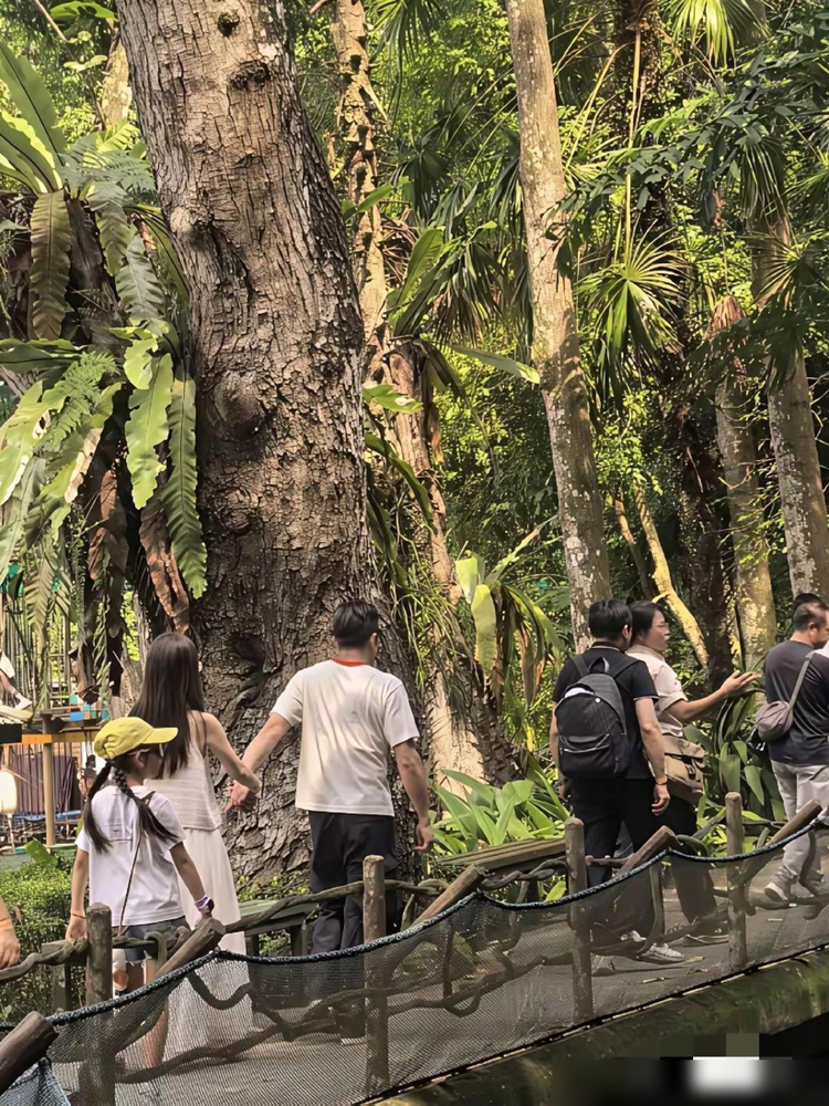 郭富城没露脸，但全网都在照片里找他。方媛晒爬山照，粉上衣，绿背包，扎着辫子，爬到半路脱外套秀身材。生过两个女儿，腰身还跟小姑娘似的。
网友根本不看山，也不看路线，全在破案：谁拍的？闺蜜还是天王本人？单人照太私密，越看越像枕边人随手按的。
有人翻出夫妻日常，说郭富城可能真在镜头外跟着，只是没露面。